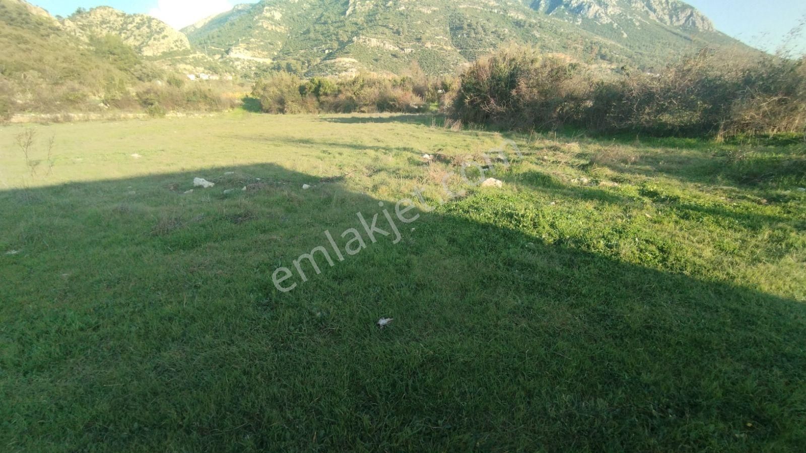 İlkon'dan İncirköy'de Huzurlu Konumda Satılık 2.5 Dönüm Tarla - Görsel 16