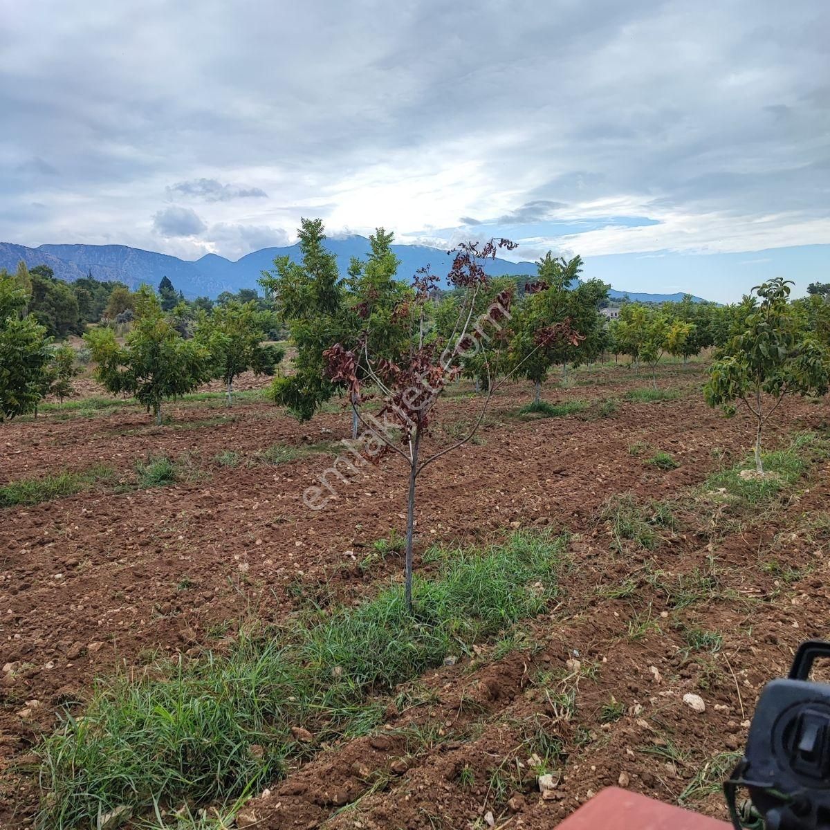 Seydikemer Hacıosmanlar Mah.ilkon'dan Satılık Arazi - Görsel 6