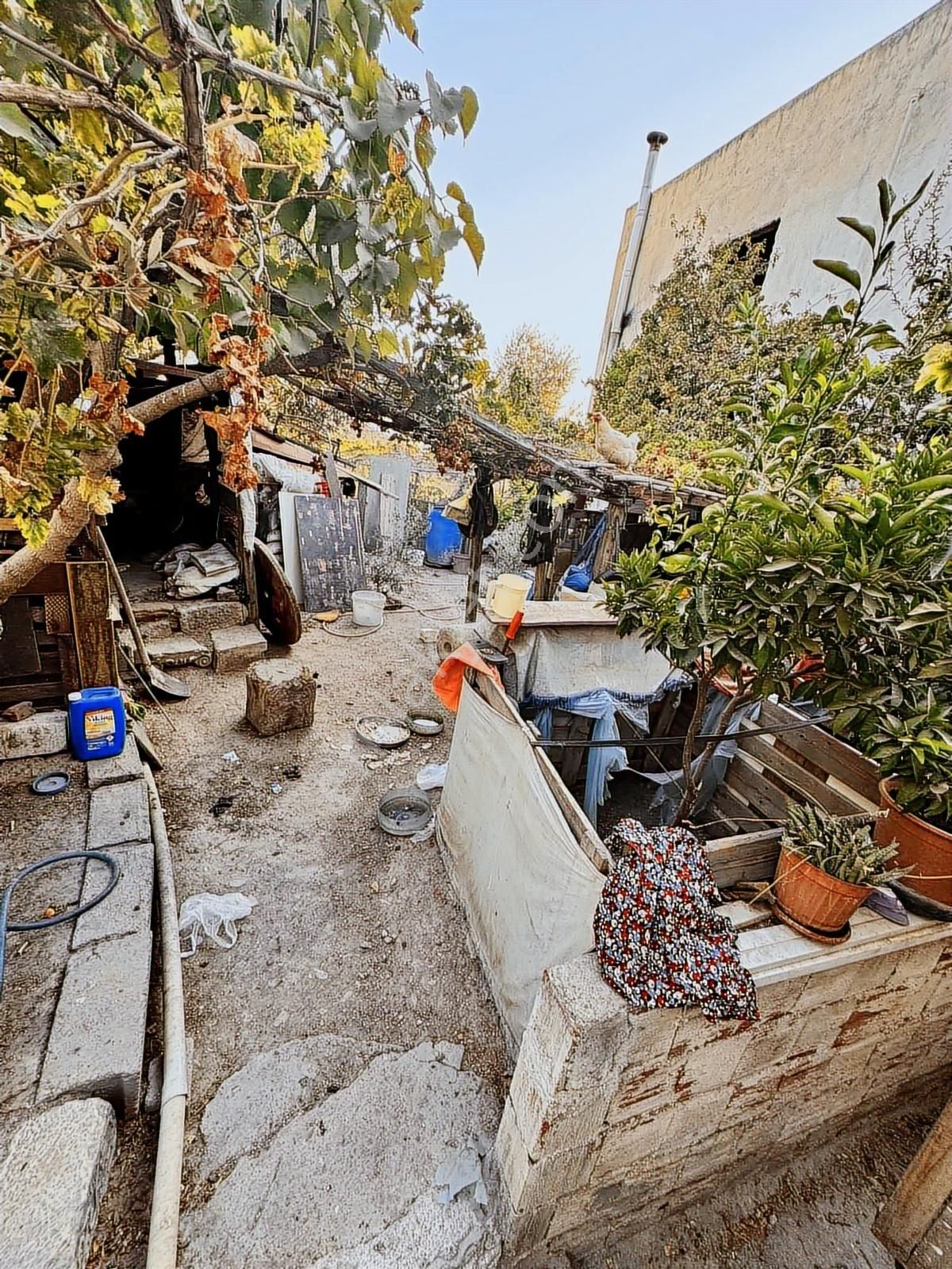 Muğla Milas Kırcağız Da Satılık Köy Evi Gökhan Alkaya Emlaktan - Görsel 35