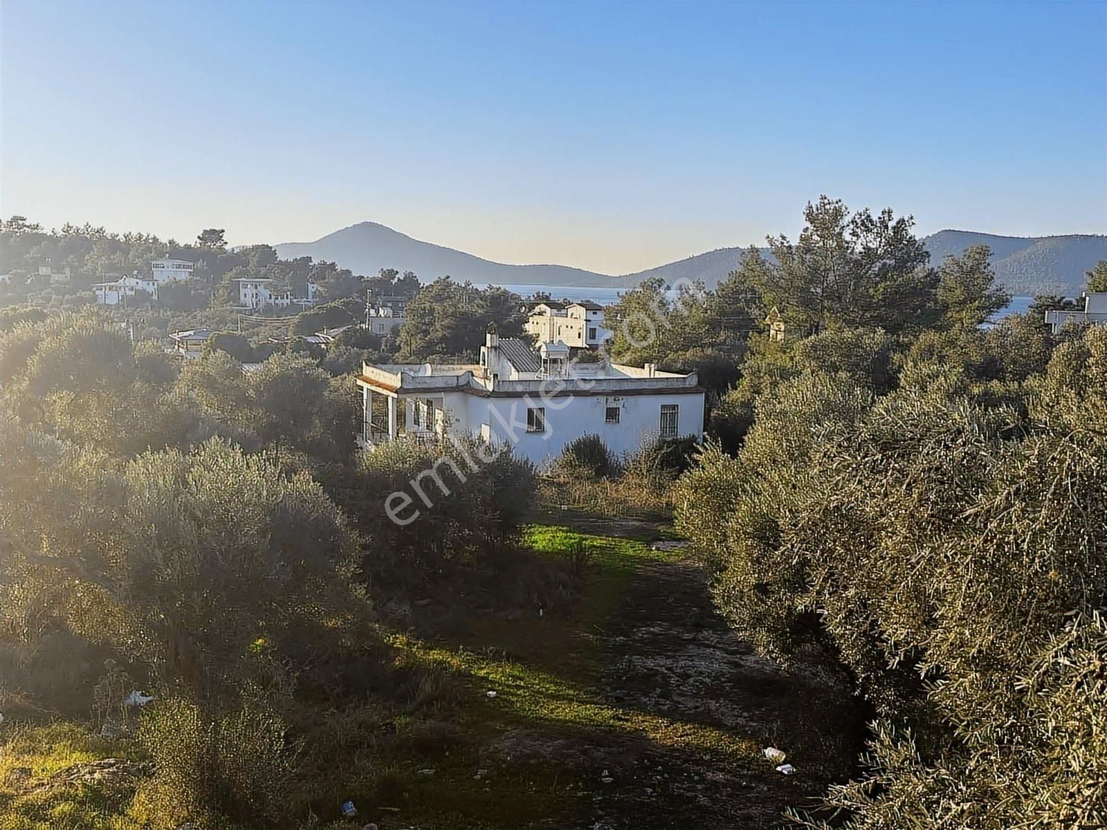 Muğla Kıyıkışlacık Satılık 4 Daire Tek Fiyat!!! - Görsel 17