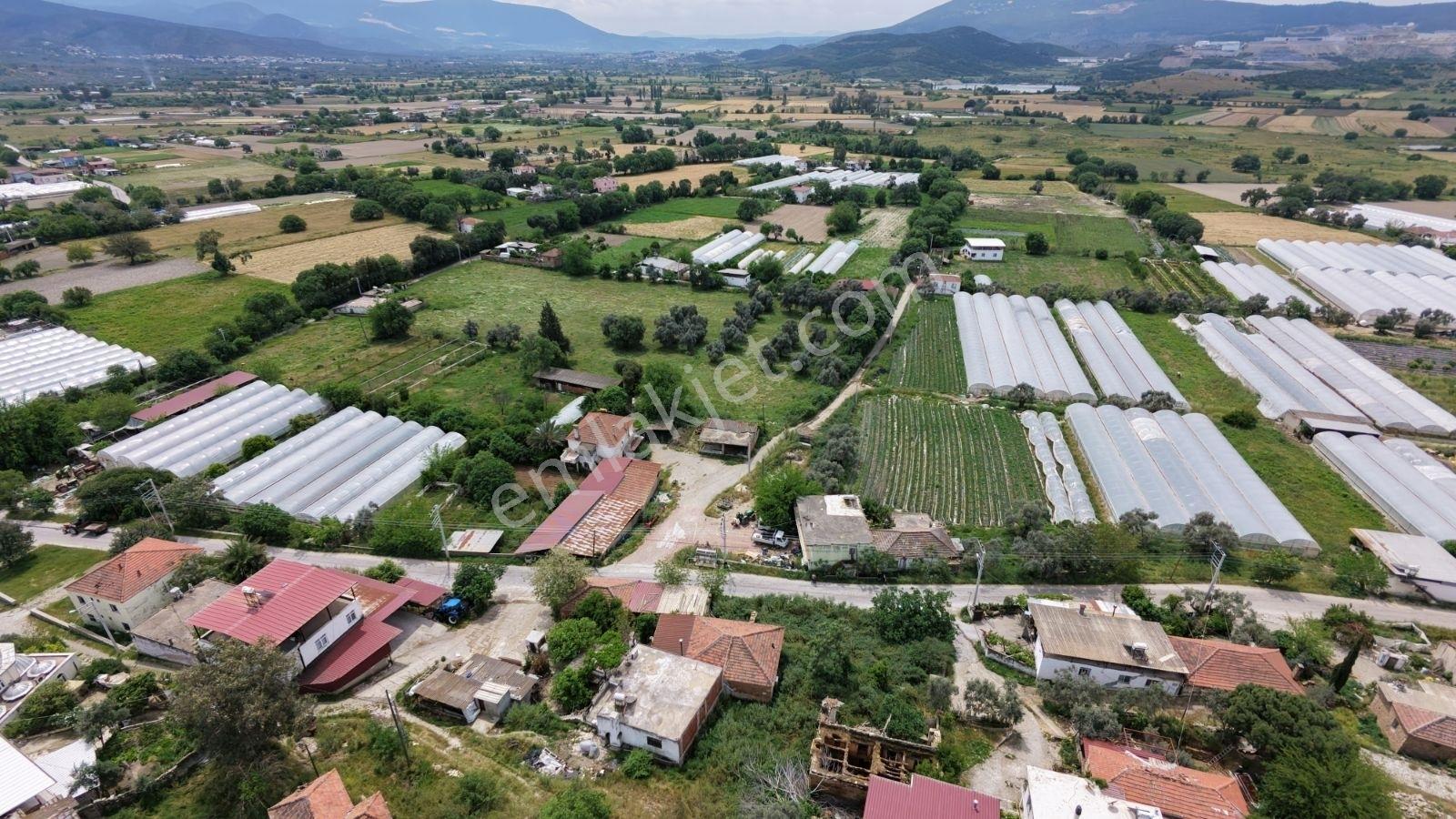 Milas Bahçeburun Köyü Satılık Kargir Ev Ve Avlusu 970 M² - Görsel 10