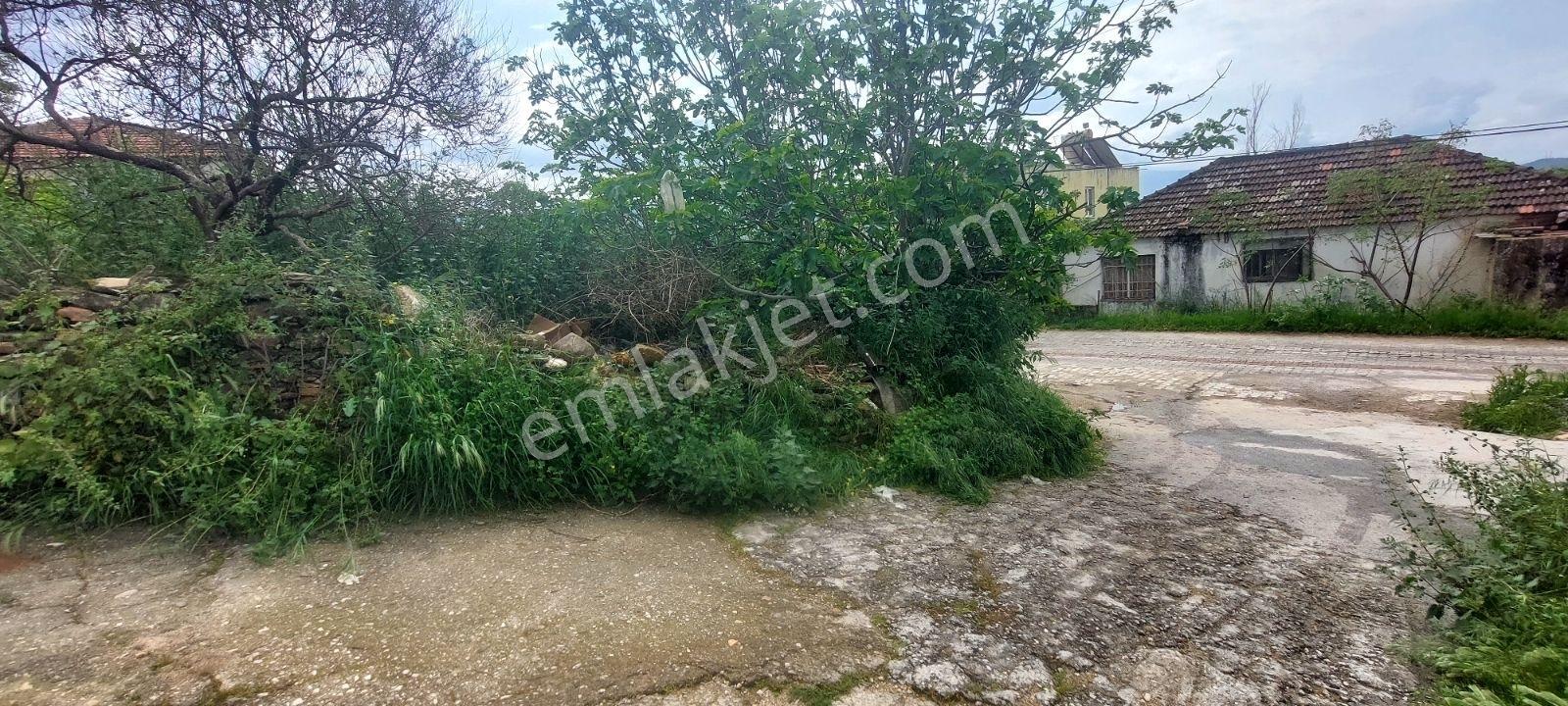 Milas Bahçeburun Köyü Satılık Kargir Ev Ve Avlusu 970 M² - Görsel 19