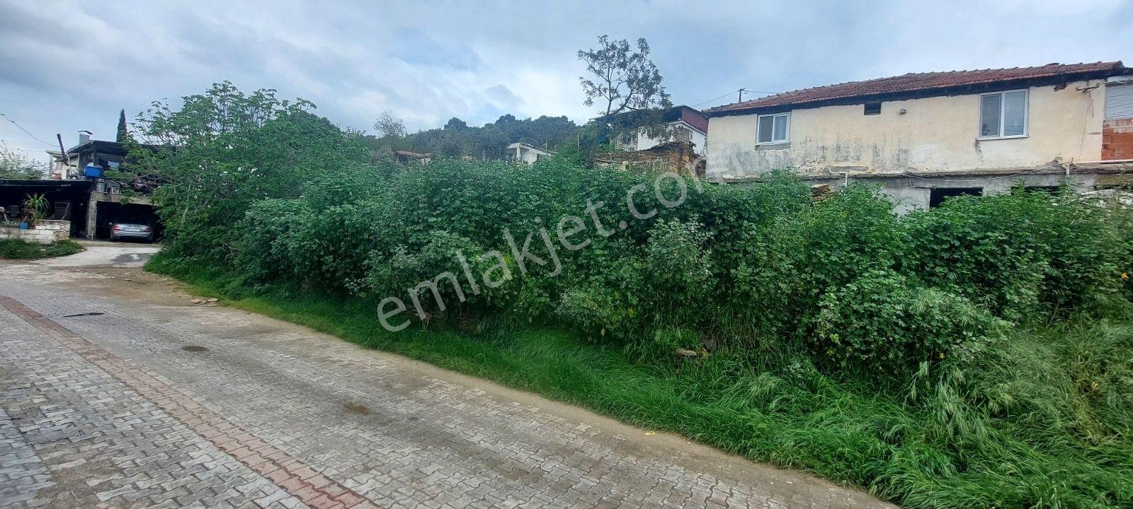Milas Bahçeburun Köyü Satılık Kargir Ev Ve Avlusu 970 M² - Görsel 22