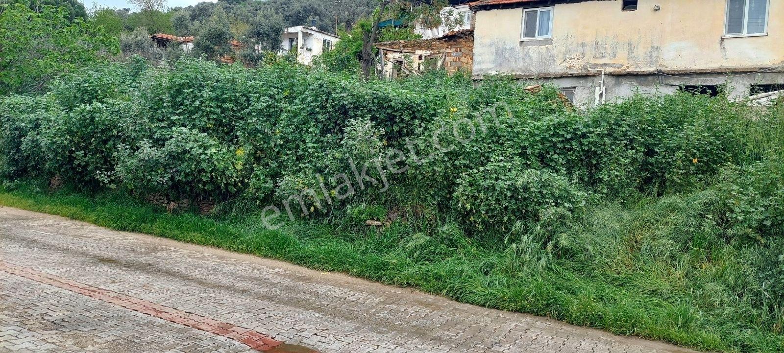 Milas Bahçeburun Köyü Satılık Kargir Ev Ve Avlusu 970 M² - Görsel 15