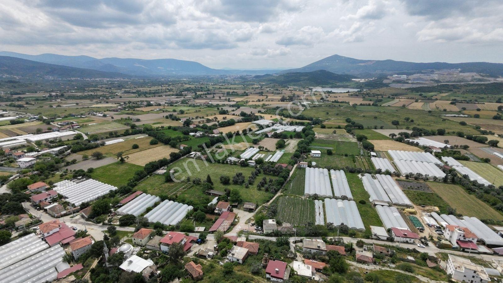 Milas Bahçeburun Köyü Satılık Kargir Ev Ve Avlusu 970 M² - Görsel 9