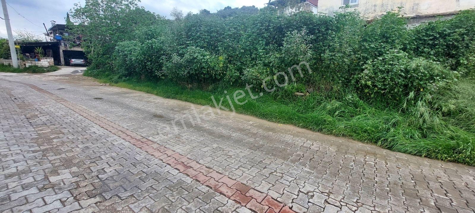 Milas Bahçeburun Köyü Satılık Kargir Ev Ve Avlusu 970 M² - Görsel 17