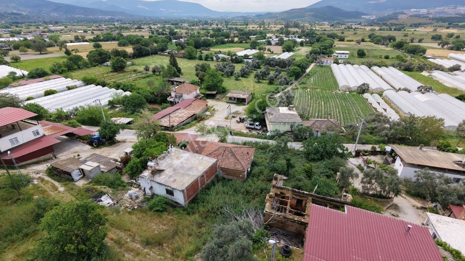 Milas Bahçeburun Köyü Satılık Kargir Ev Ve Avlusu 970 M² - Görsel 35