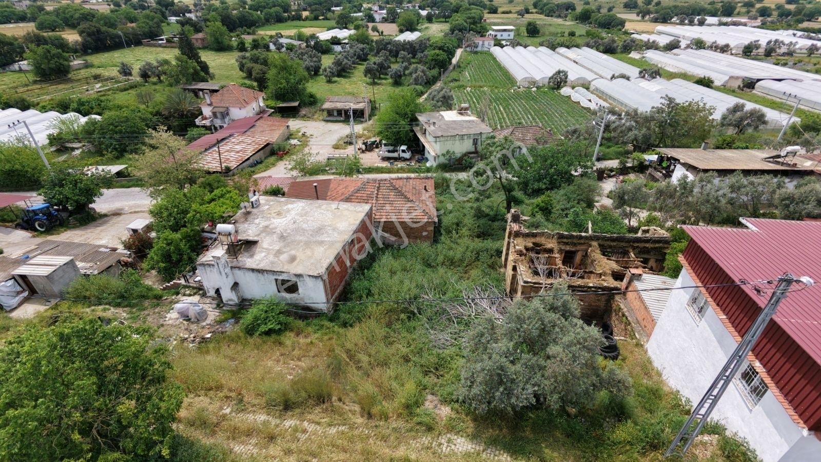 Milas Bahçeburun Köyü Satılık Kargir Ev Ve Avlusu 970 M² - Görsel 28