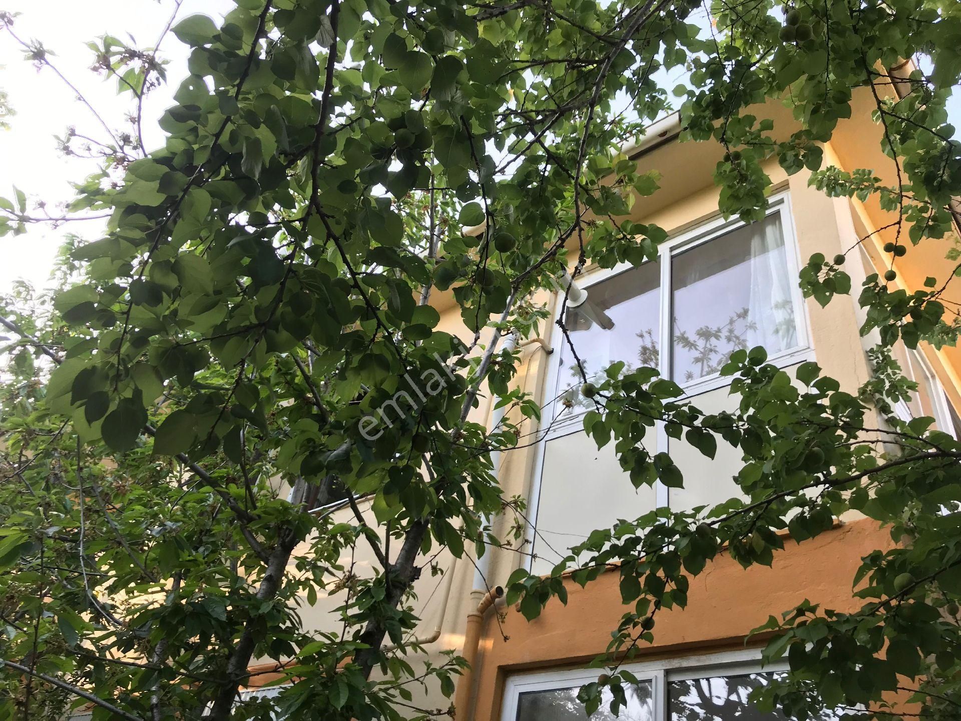 Muğla Ula Köprübaşı Mah Satılık Dubleks Daire - Görsel 5