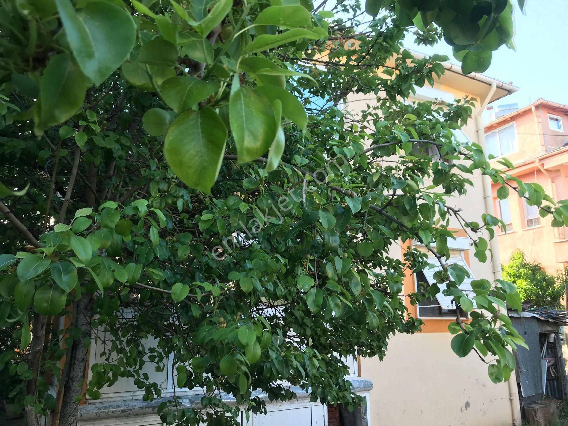 Muğla Ula Köprübaşı Mah Satılık Dubleks Daire - Görsel 7