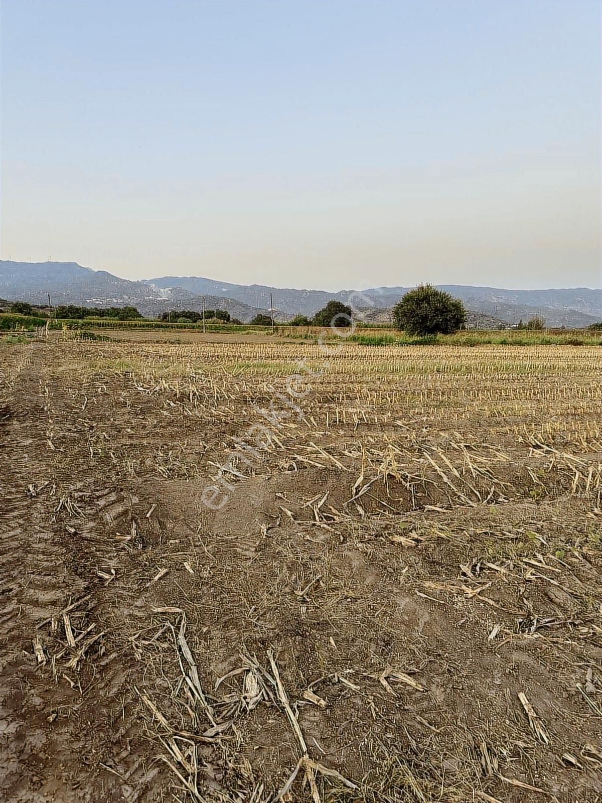 Milas Kafacada Mahalleye Yürüme Mesafesinde Fırsat Arazi - Görsel 14