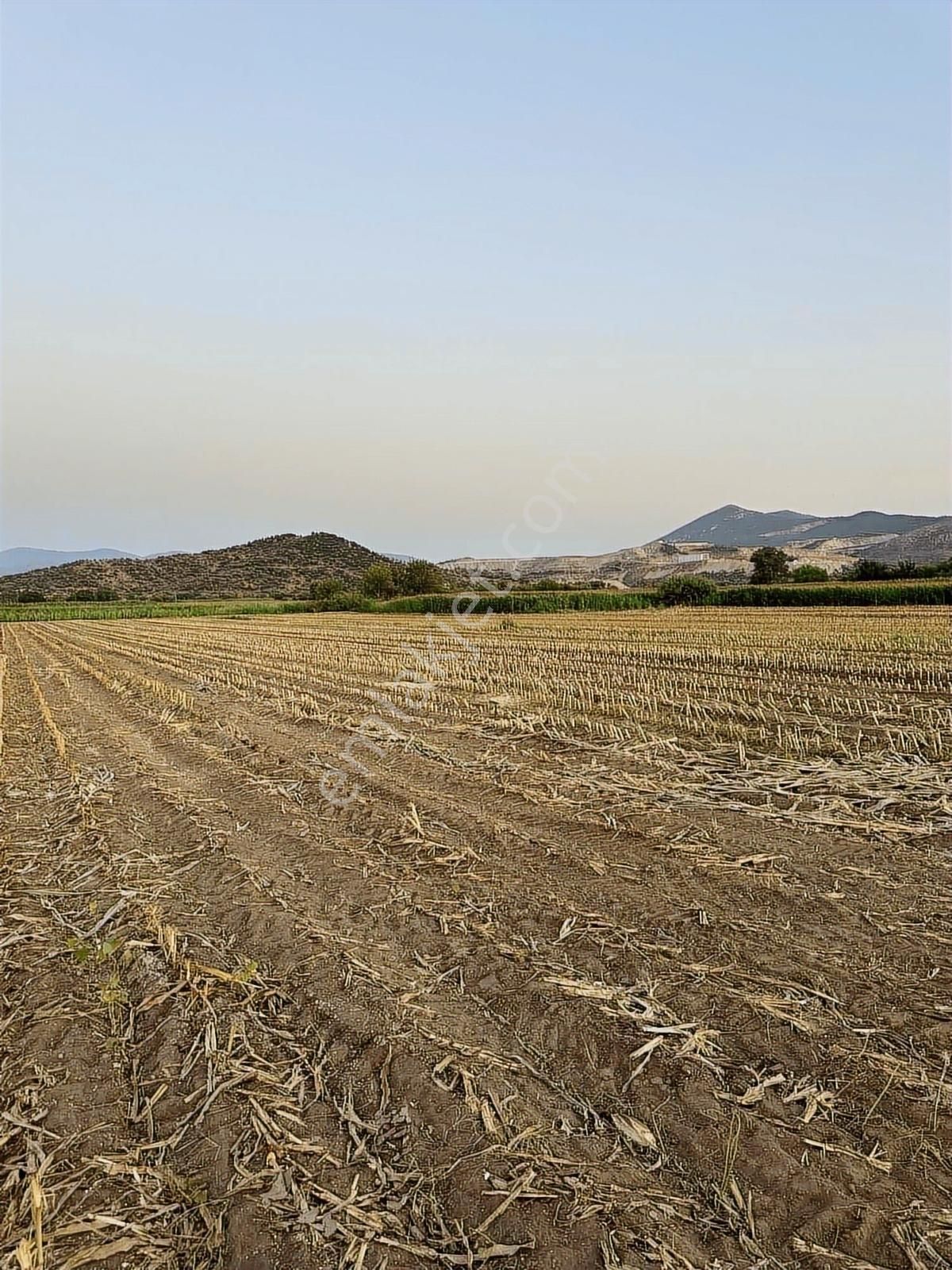 Milas Kafacada Mahalleye Yürüme Mesafesinde Fırsat Arazi - Görsel 8