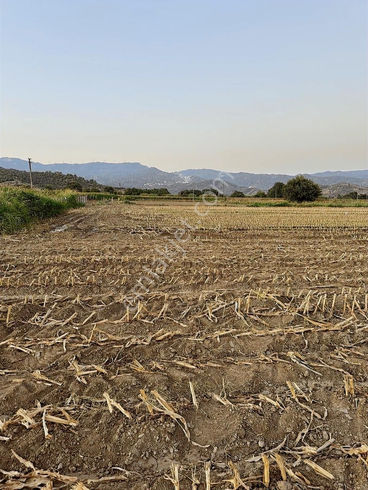 Milas Kafacada Mahalleye Yürüme Mesafesinde Fırsat Arazi - Görsel 17