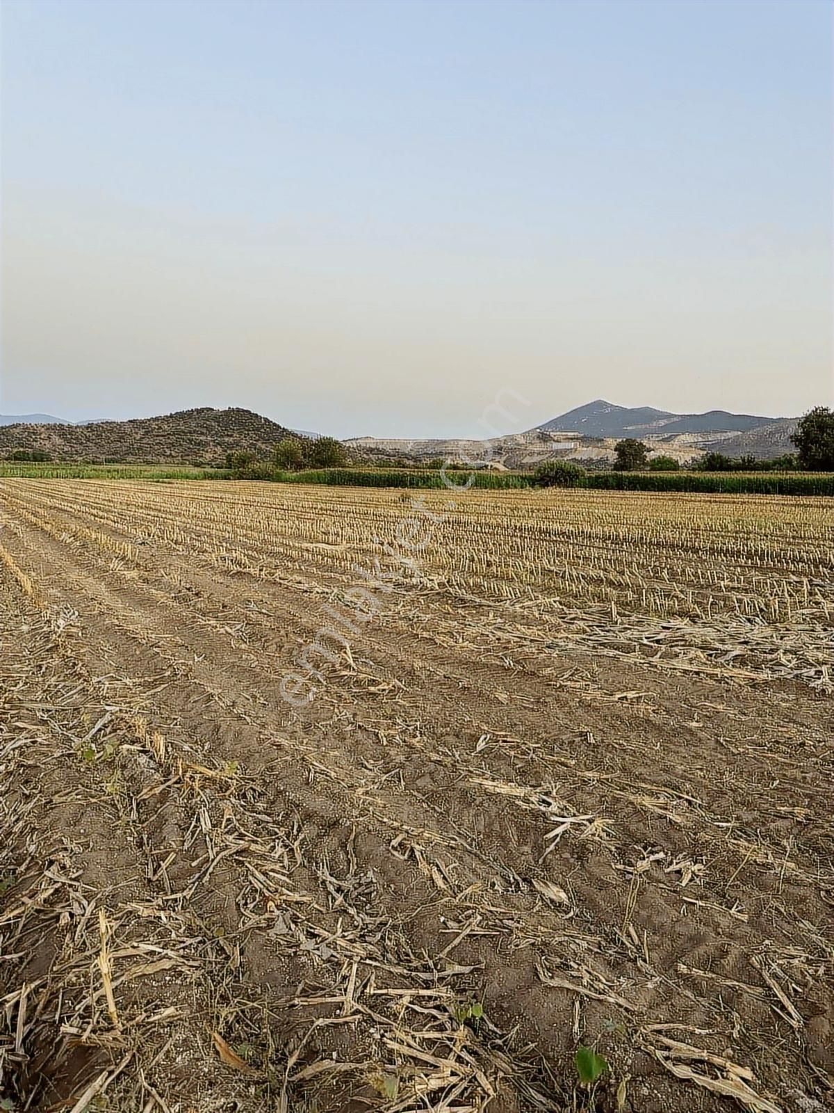 Milas Kafacada Mahalleye Yürüme Mesafesinde Fırsat Arazi - Görsel 4