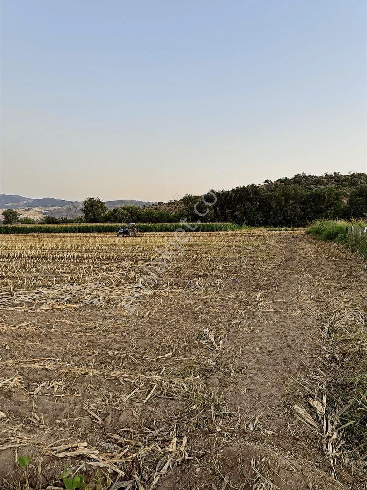 Milas Kafacada Mahalleye Yürüme Mesafesinde Fırsat Arazi - Görsel 9