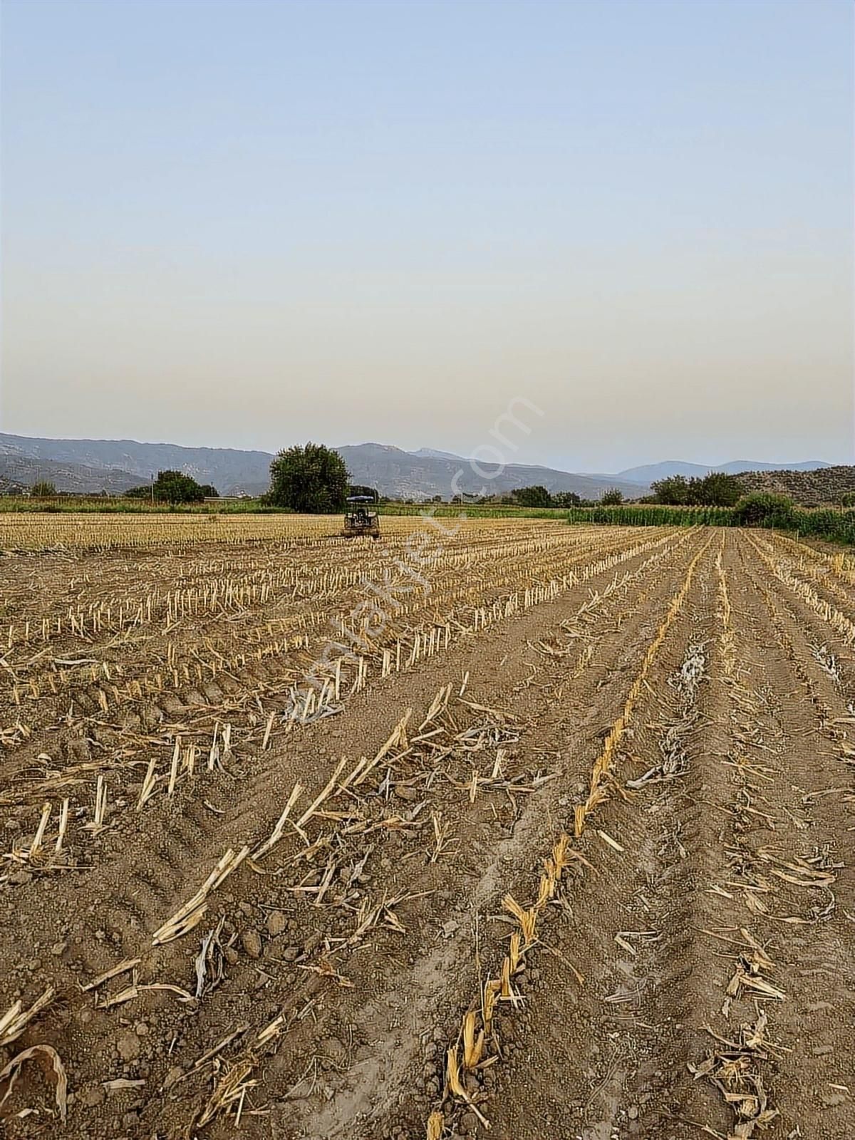 Milas Kafacada Mahalleye Yürüme Mesafesinde Fırsat Arazi - Görsel 13