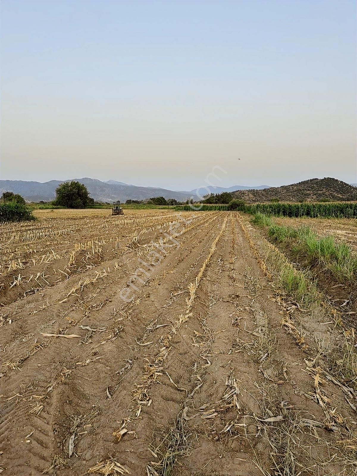 Milas Kafacada Mahalleye Yürüme Mesafesinde Fırsat Arazi - Görsel 10