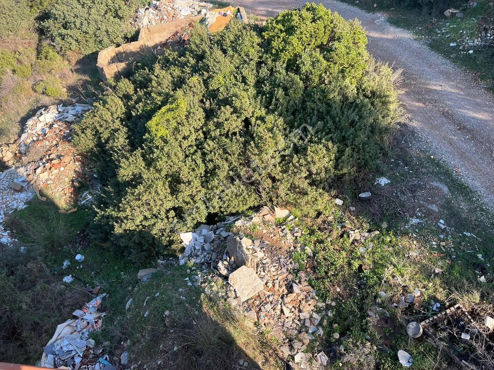 Akbaşlar Gayrımenkulden Satılık Arsa Bozbük,denize Yakın,projeli - Görsel 19