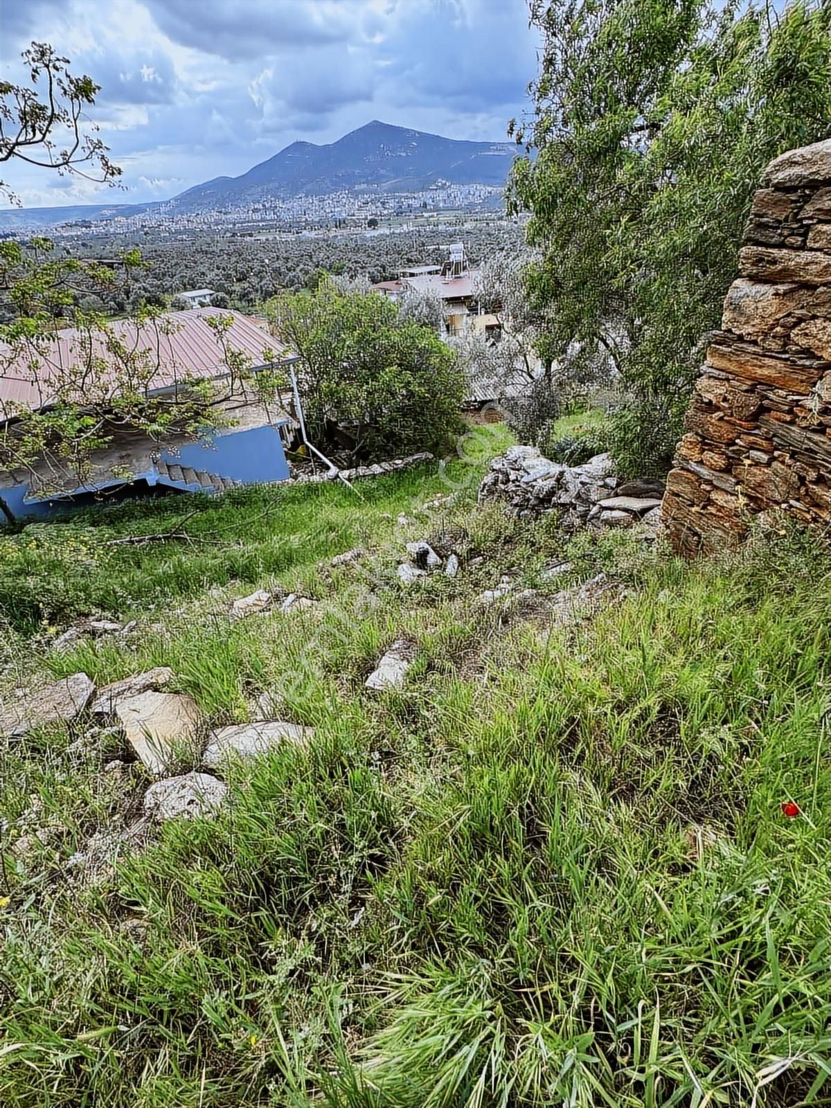 Akbaşlar'dan Milas Kırcağızda Müstakil Arsalar - Görsel 3