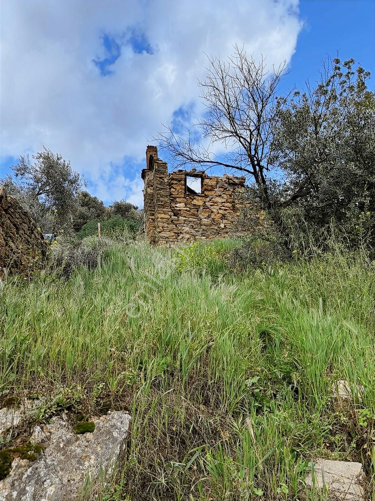 Akbaşlar'dan Milas Kırcağızda Müstakil Arsalar - Görsel 2