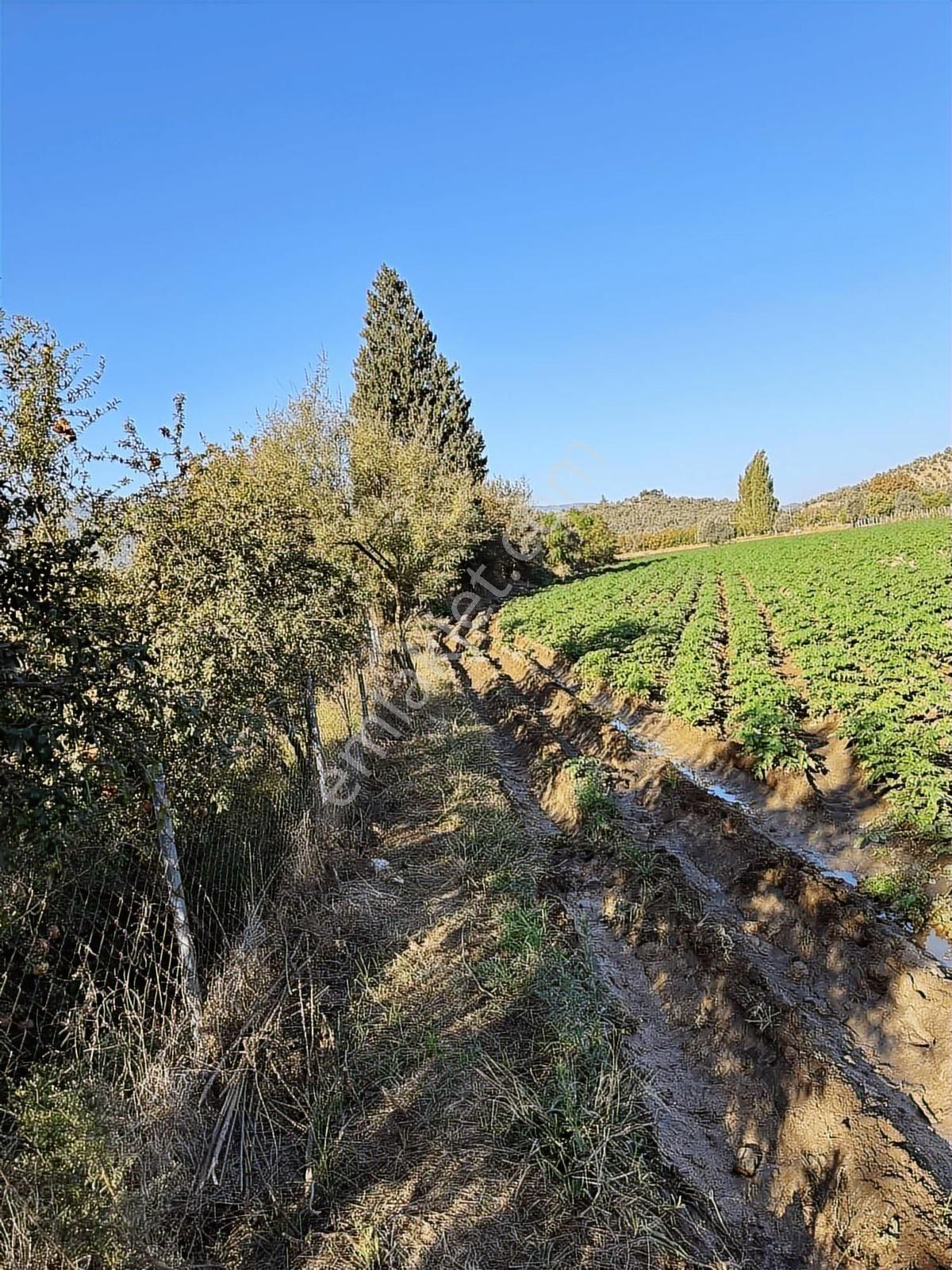 Akbaşlar'dan Milas Selimiye'de Merkeze 2 Dk Mesafede Arazi - Görsel 11