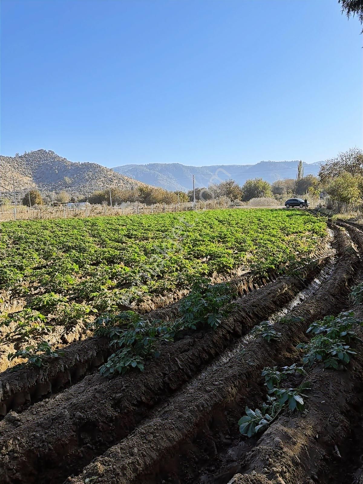 Akbaşlar'dan Milas Selimiye'de Merkeze 2 Dk Mesafede Arazi - Görsel 3