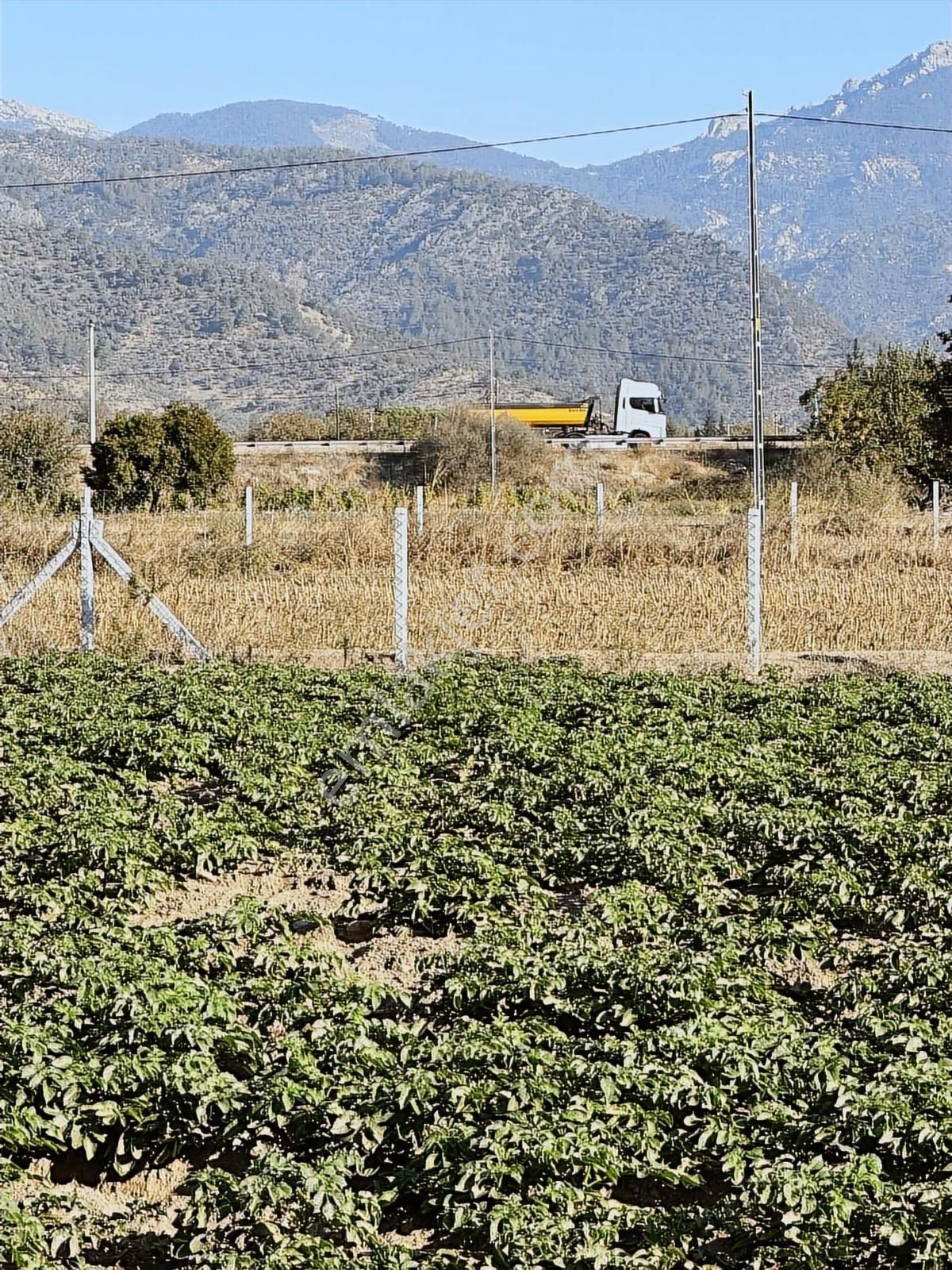 Akbaşlar'dan Milas Selimiye'de Merkeze 2 Dk Mesafede Arazi - Görsel 7