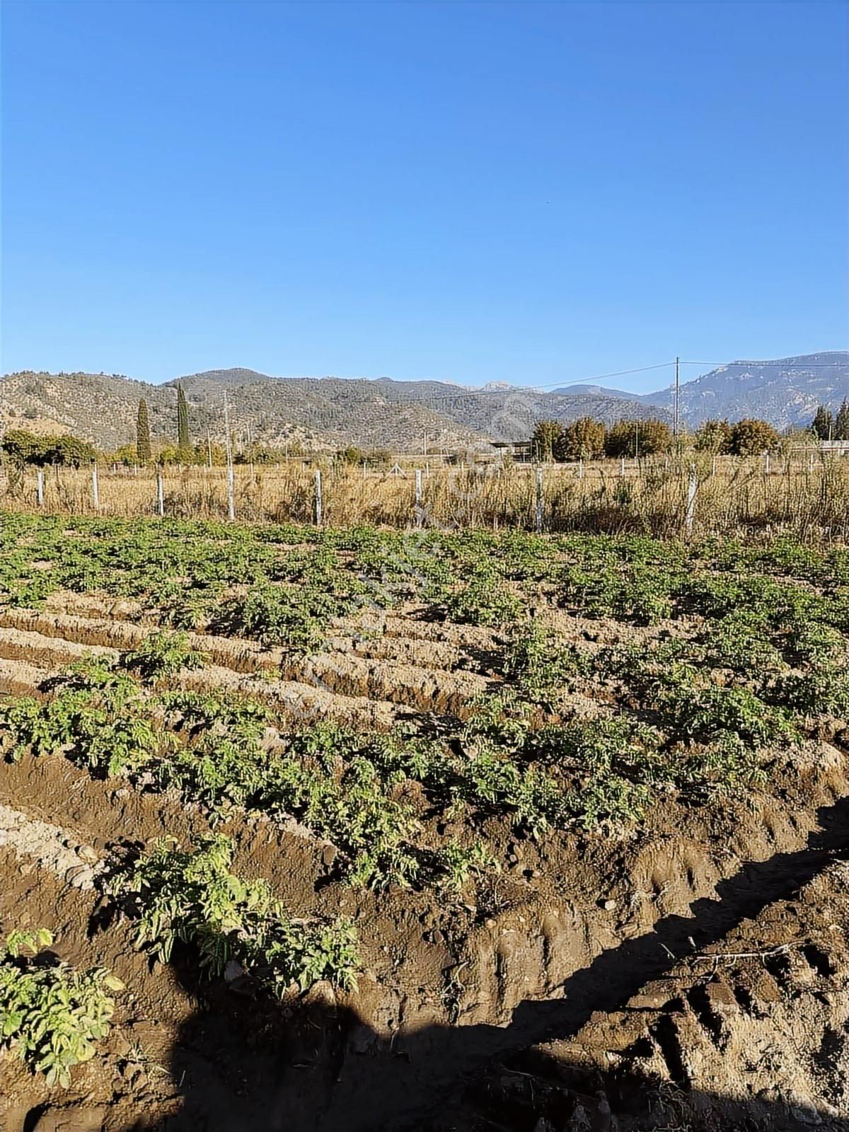 Akbaşlar'dan Milas Selimiye'de Merkeze 2 Dk Mesafede Arazi - Görsel 15