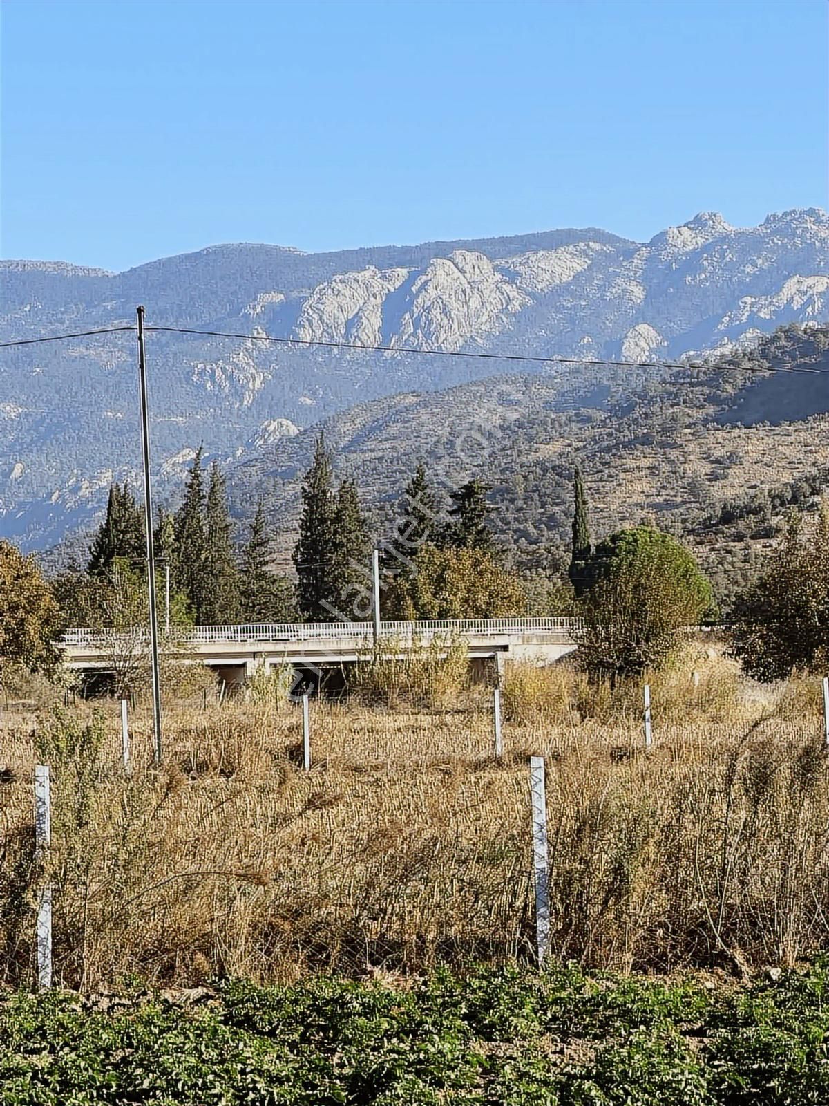 Akbaşlar'dan Milas Selimiye'de Merkeze 2 Dk Mesafede Arazi - Görsel 9
