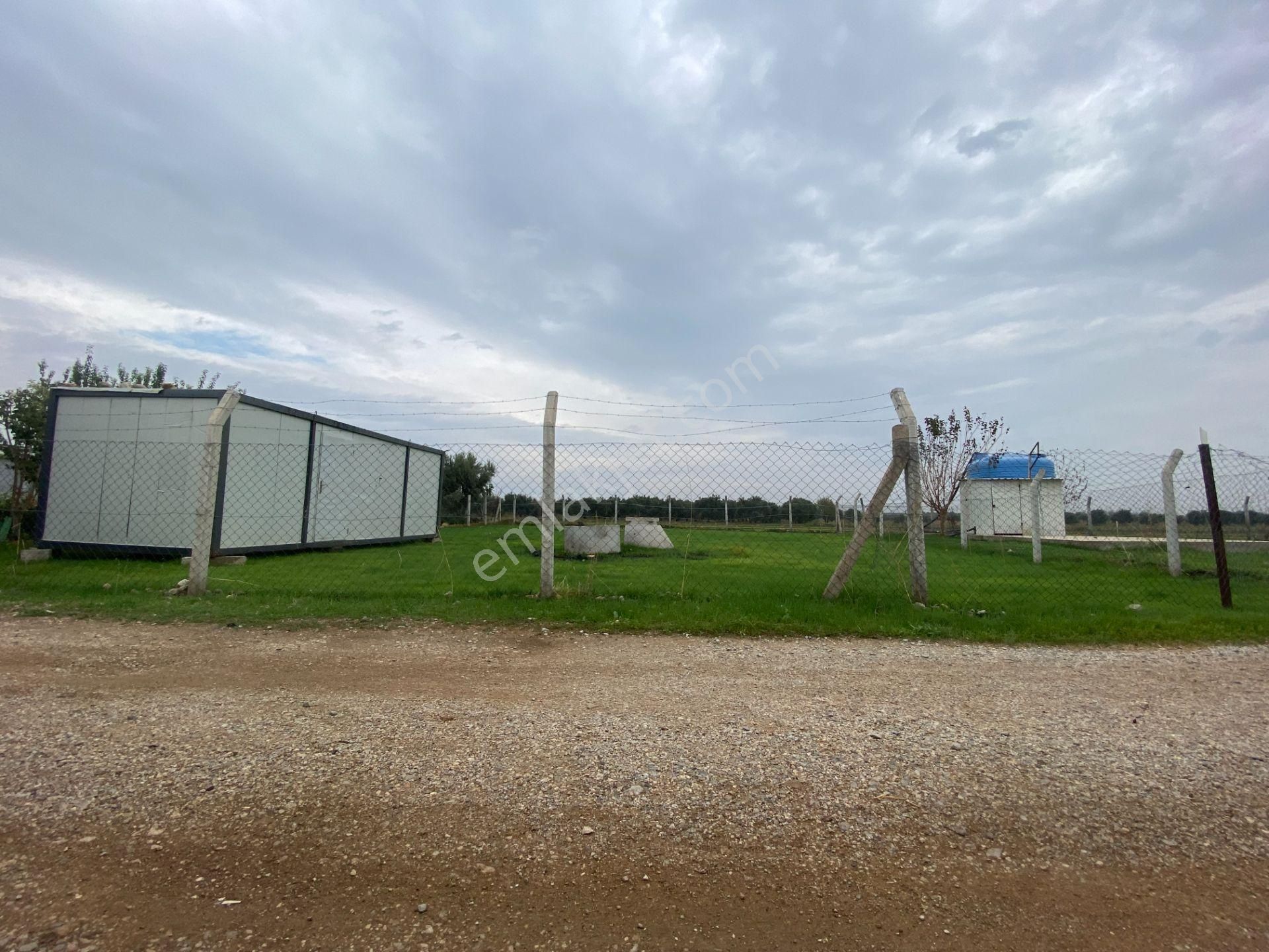 Mendereste Net 500 M2 Köşe Cephe Arsa ( Açıklamayı Tam Okuyun ) Komisyonsuz - Görsel 19