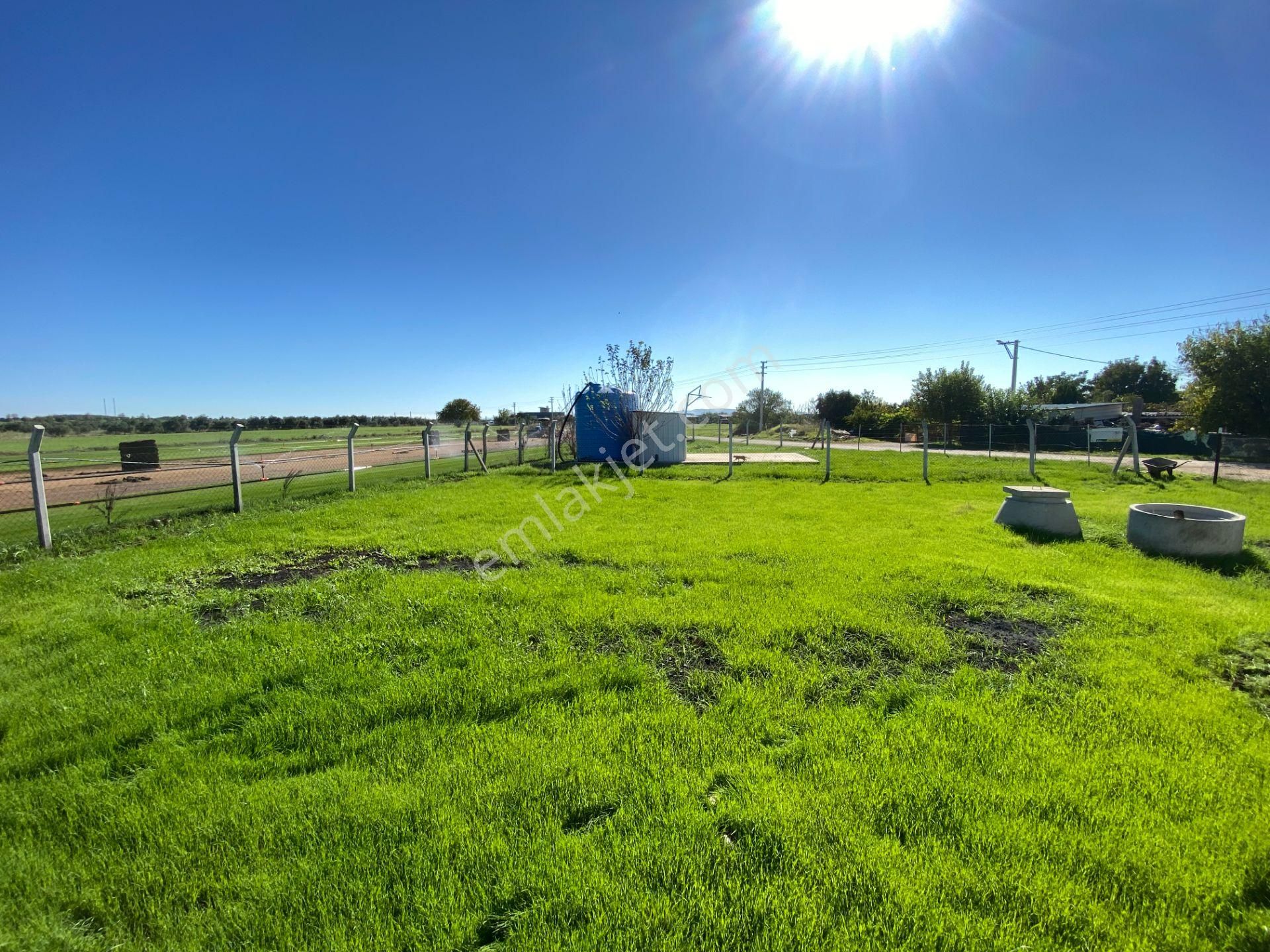 Mendereste Net 500 M2 Köşe Cephe Arsa ( Açıklamayı Tam Okuyun ) Komisyonsuz - Görsel 25