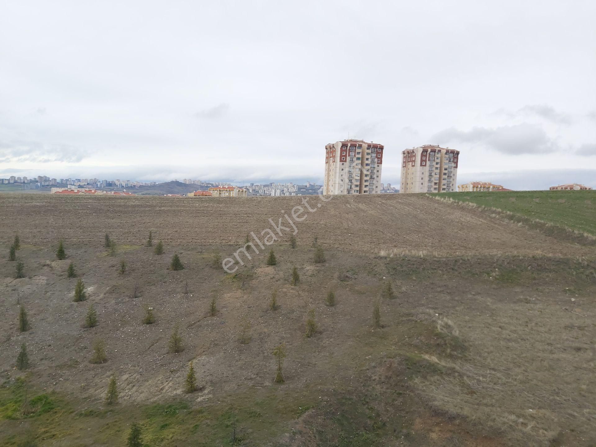 İlyap'tan Turkuaz Tokide Yapılı Kiralık 2+1 - Görsel 23