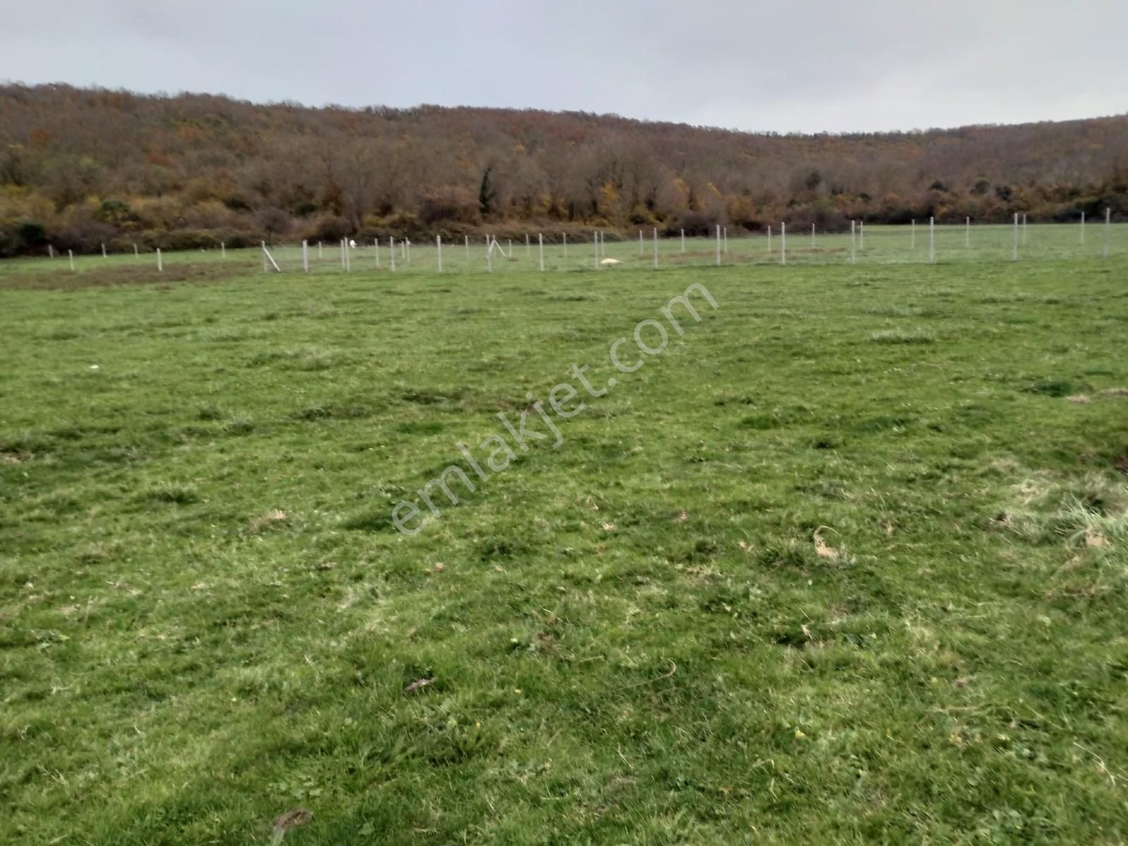 Satılık Çatalca Kalfa Mah. 2903 M2 Fırsat Arazi - Görsel 22