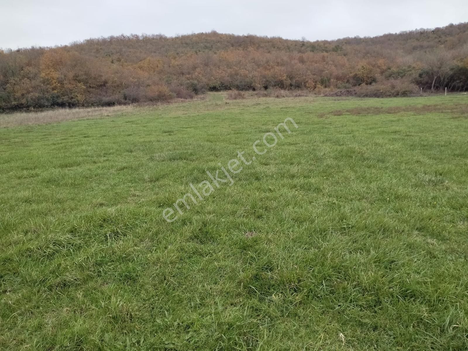 Satılık Çatalca Kalfa Mah. 2903 M2 Fırsat Arazi - Görsel 6