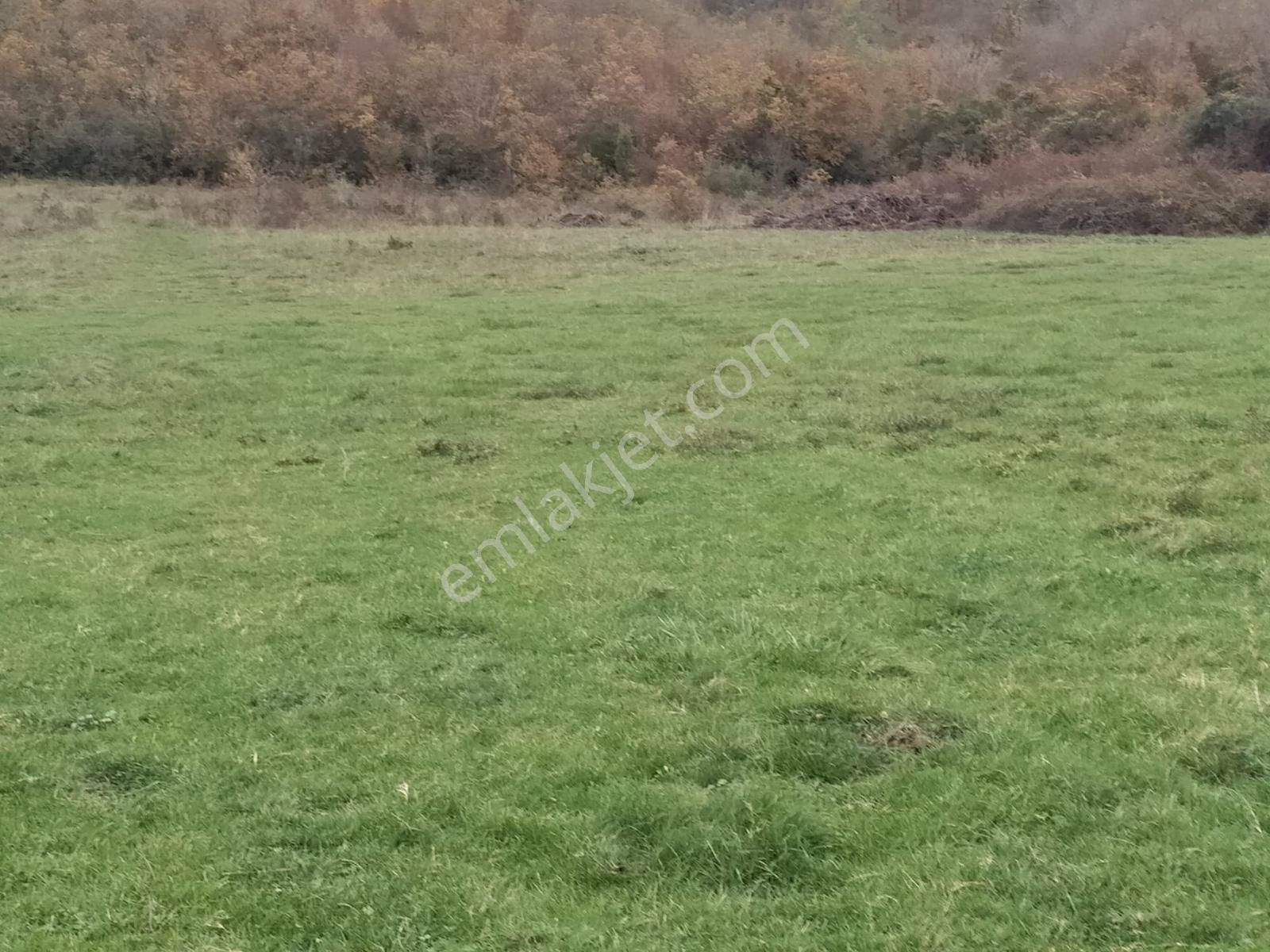 Satılık Çatalca Kalfa Mah. 2903 M2 Fırsat Arazi - Görsel 2