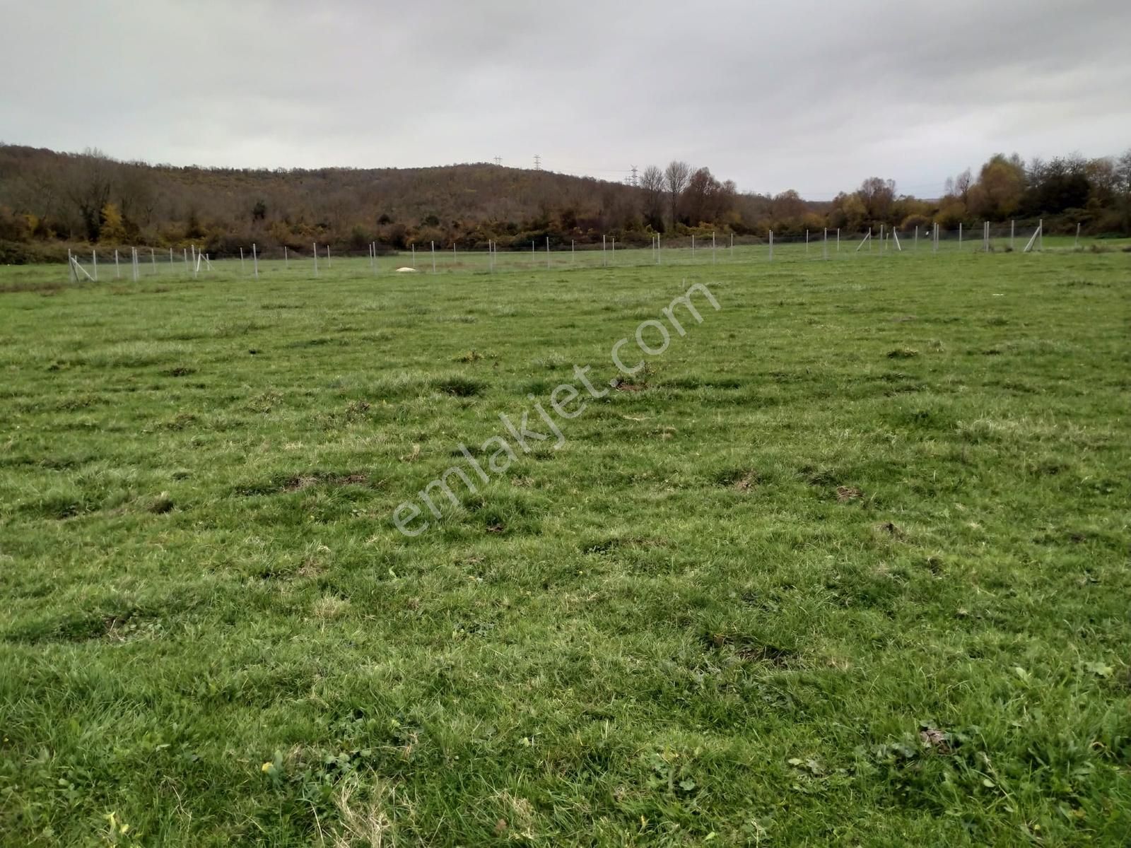 Satılık Çatalca Kalfa Mah. 2903 M2 Fırsat Arazi - Görsel 3