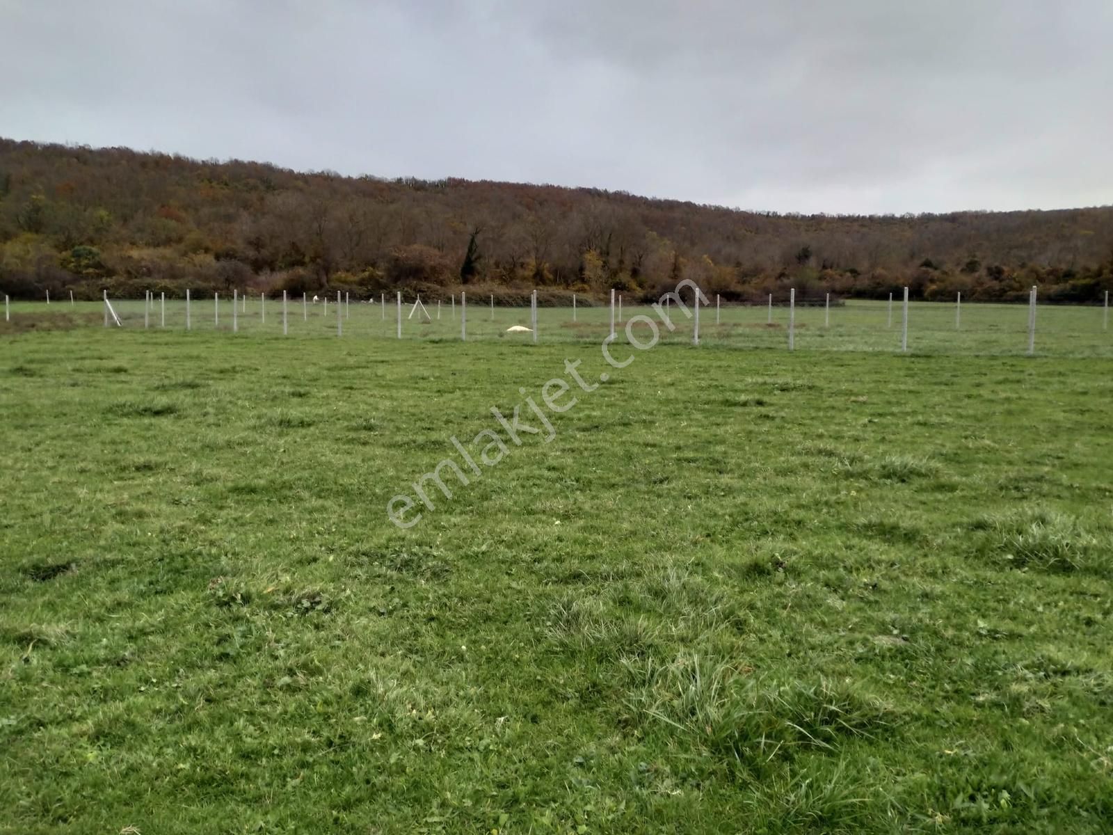 Satılık Çatalca Kalfa Mah. 2903 M2 Fırsat Arazi - Görsel 29