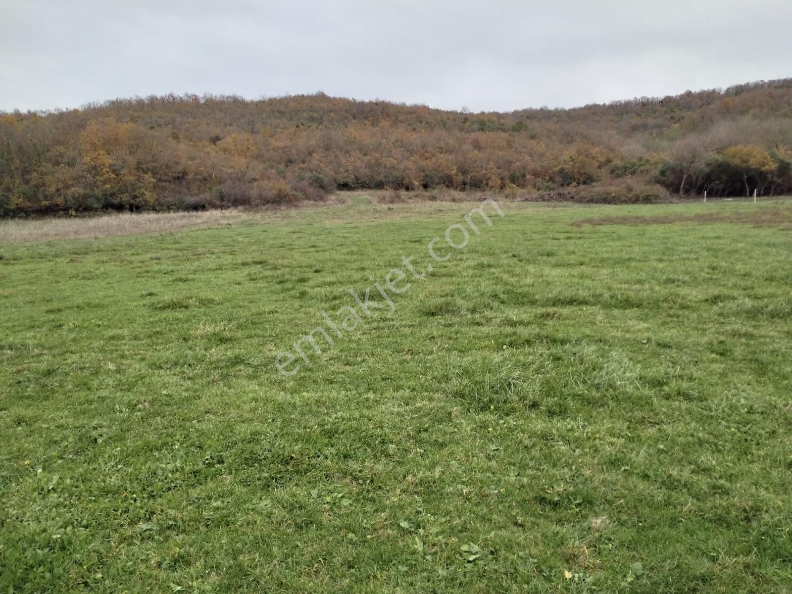 Satılık Çatalca Kalfa Mah. 2903 M2 Fırsat Arazi - Görsel 16