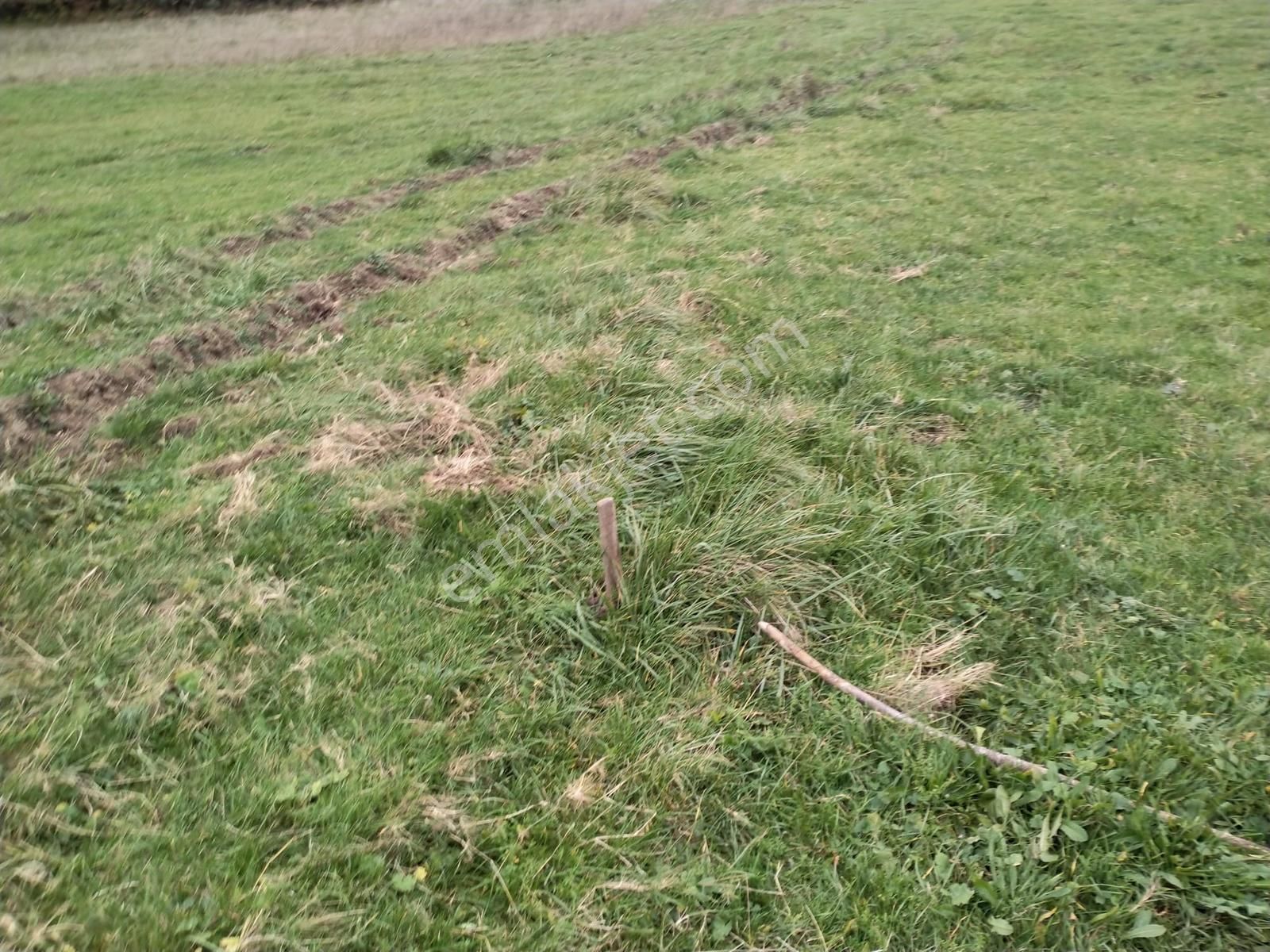 Satılık Çatalca Kalfa Mah. 2903 M2 Fırsat Arazi - Görsel 4