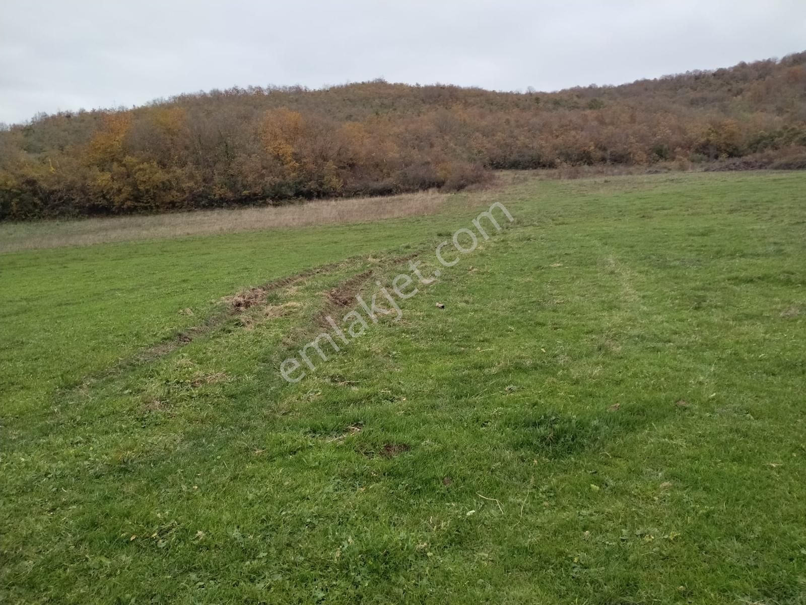 Satılık Çatalca Kalfa Mah. 2903 M2 Fırsat Arazi - Görsel 24