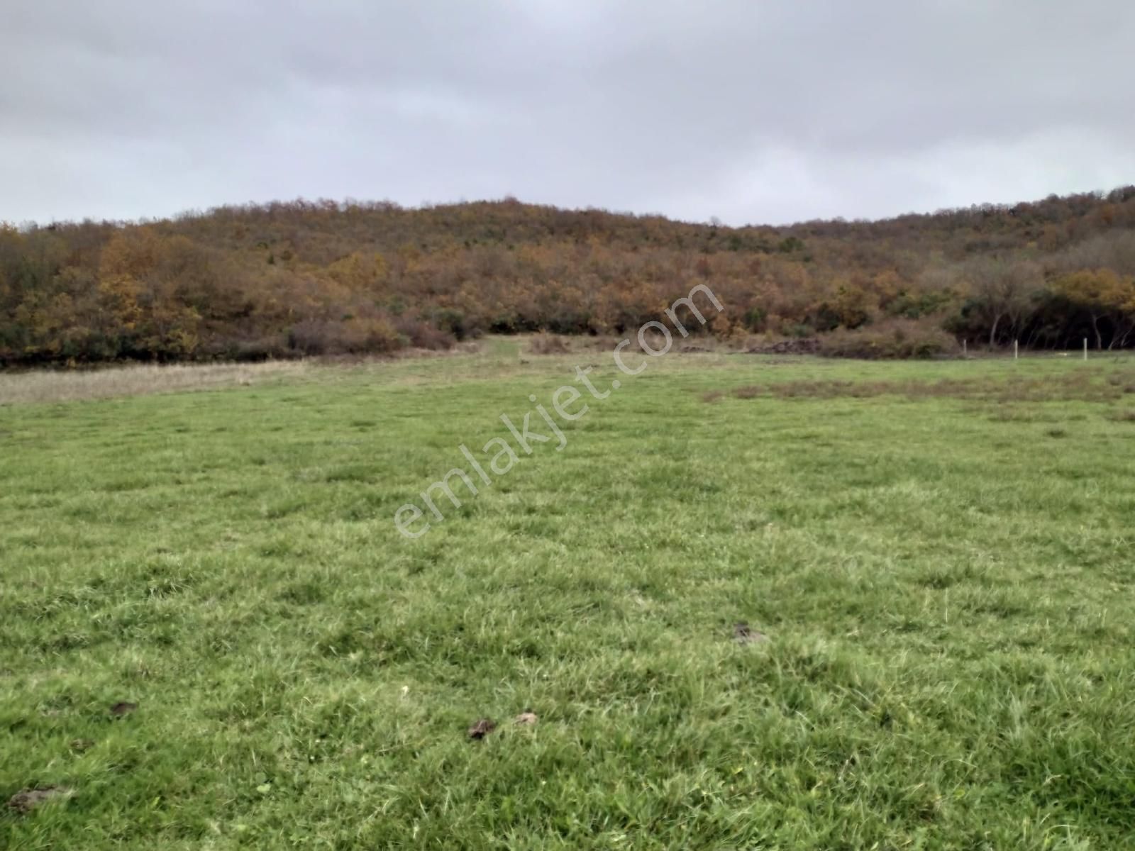 Satılık Çatalca Kalfa Mah. 2903 M2 Fırsat Arazi - Görsel 30