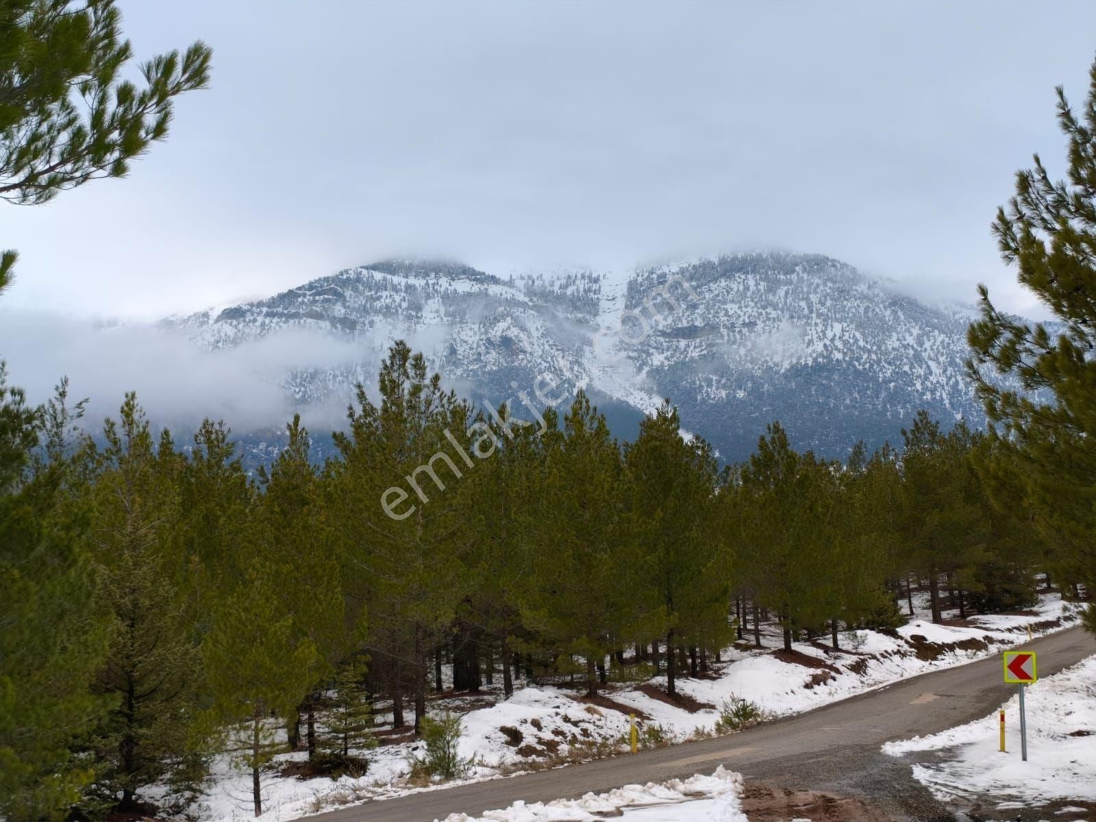 Kar Emlak Tan Yeni Konacık Öğretmen Ler Sitesi Yanı Yaylalık 400 M2 Satılık Arsa