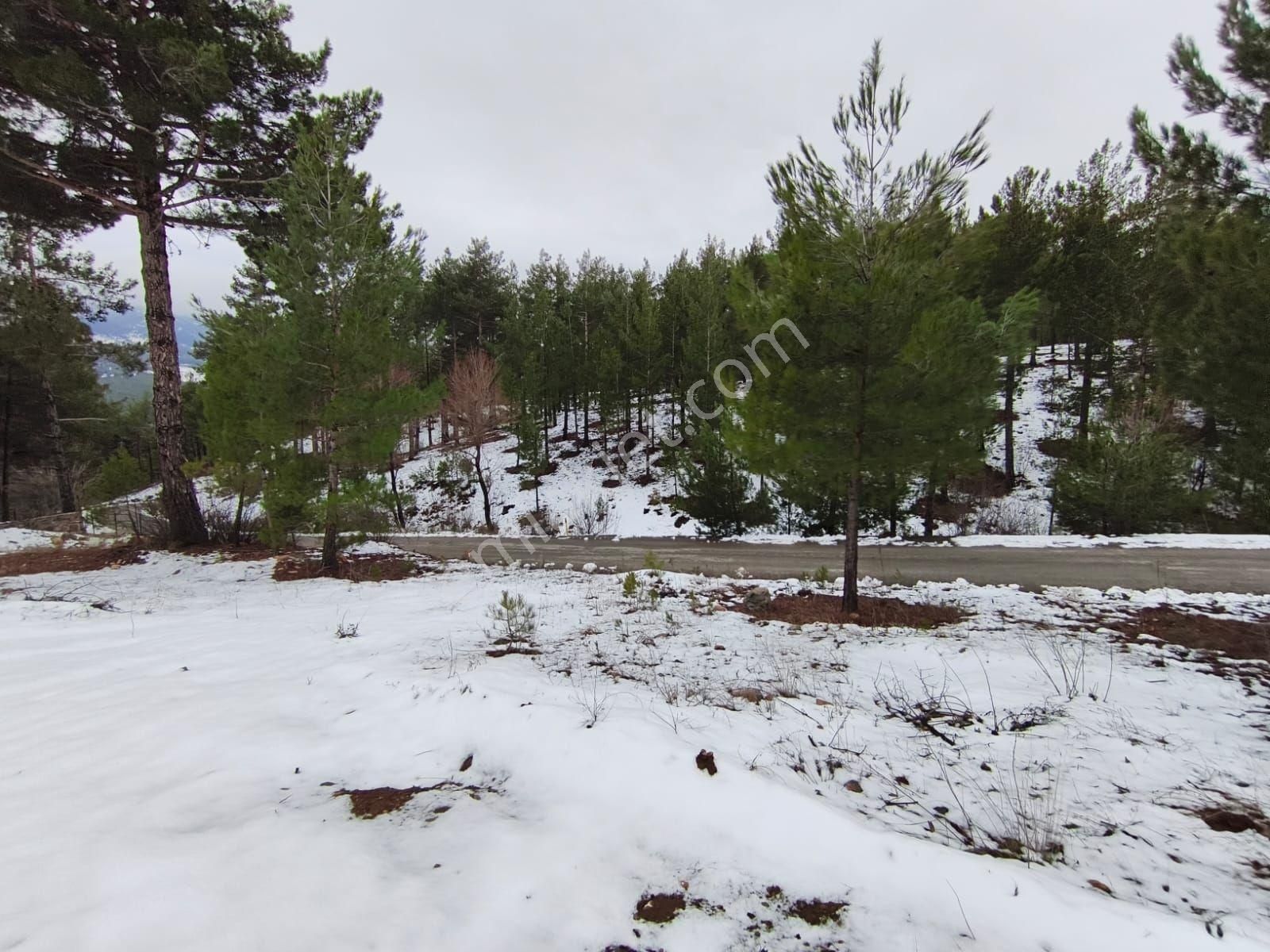 Kar Emlak Tan Yeni Konacık Öğretmen Ler Sitesi Yanı Yaylalık 400 M2 Satılık Arsa - Görsel 14