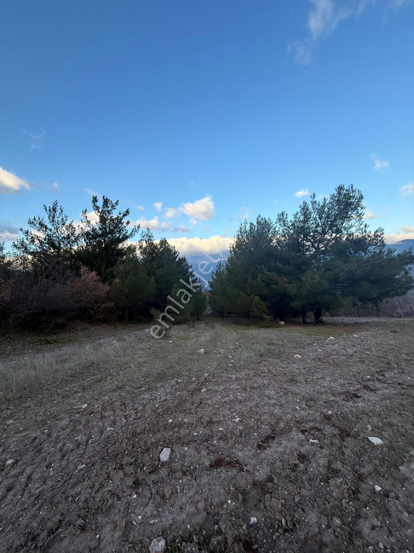 Balıkesir Dursunbey Gökçedağ Köyünde 1.018 M² Arsa Satılıktır - Görsel 4