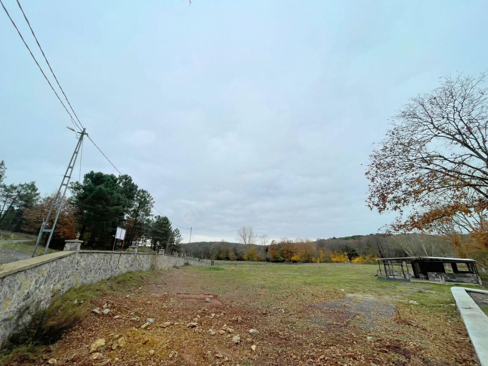 Mertcan'dan Pendik Ballıca Mahallesi Müstakil Parsel Arsa - Görsel 12