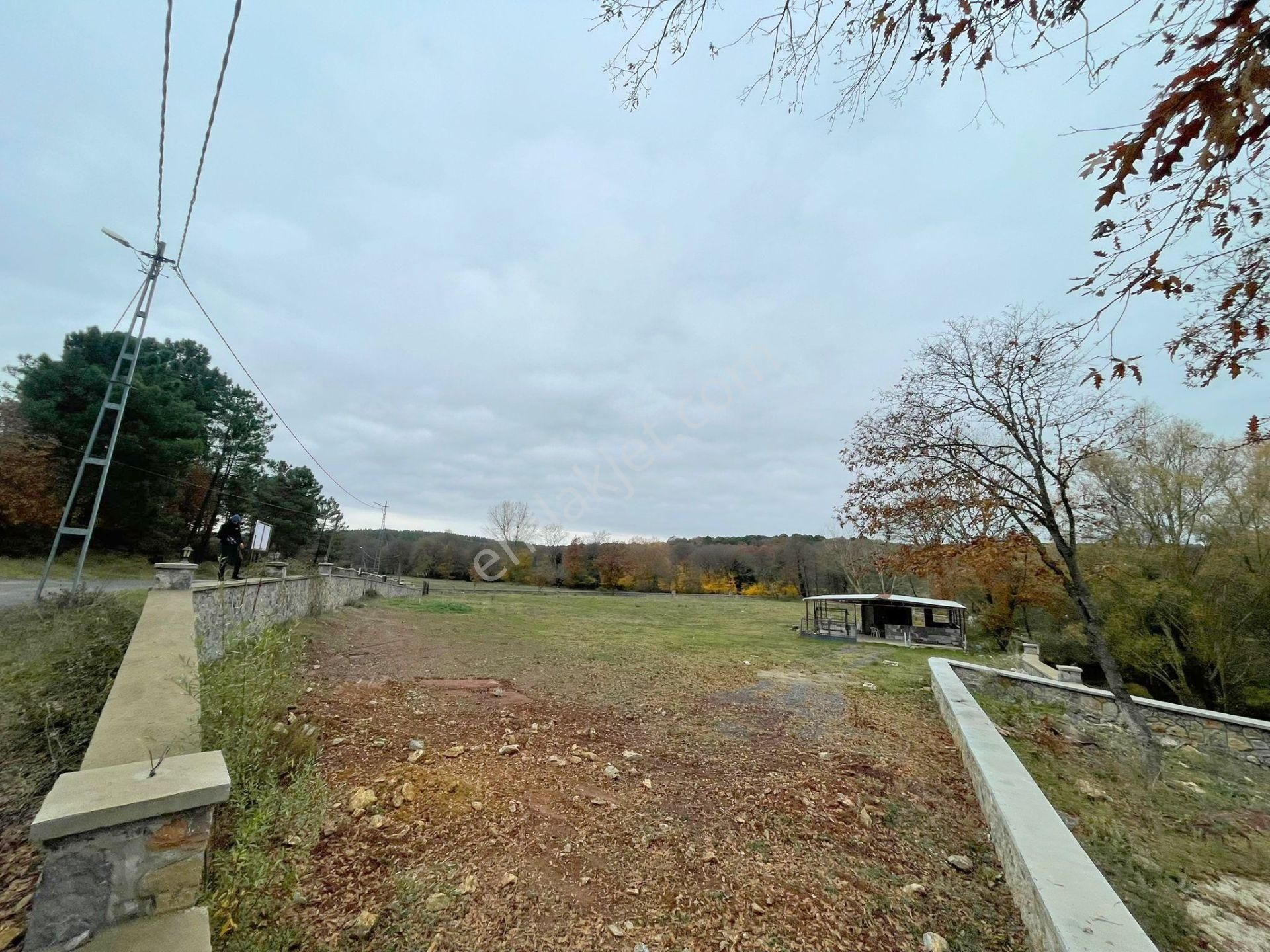 Mertcan'dan Pendik Ballıca Mahallesi Müstakil Parsel Arsa - Görsel 13