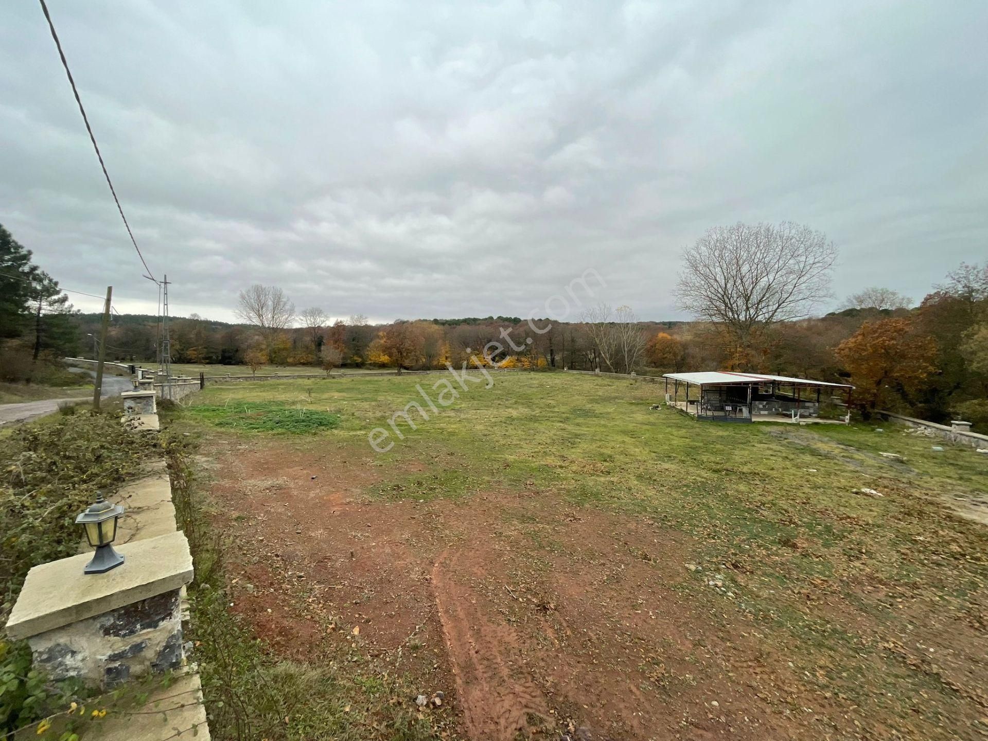 Mertcan'dan Pendik Ballıca Mahallesi Müstakil Parsel Arsa - Görsel 7