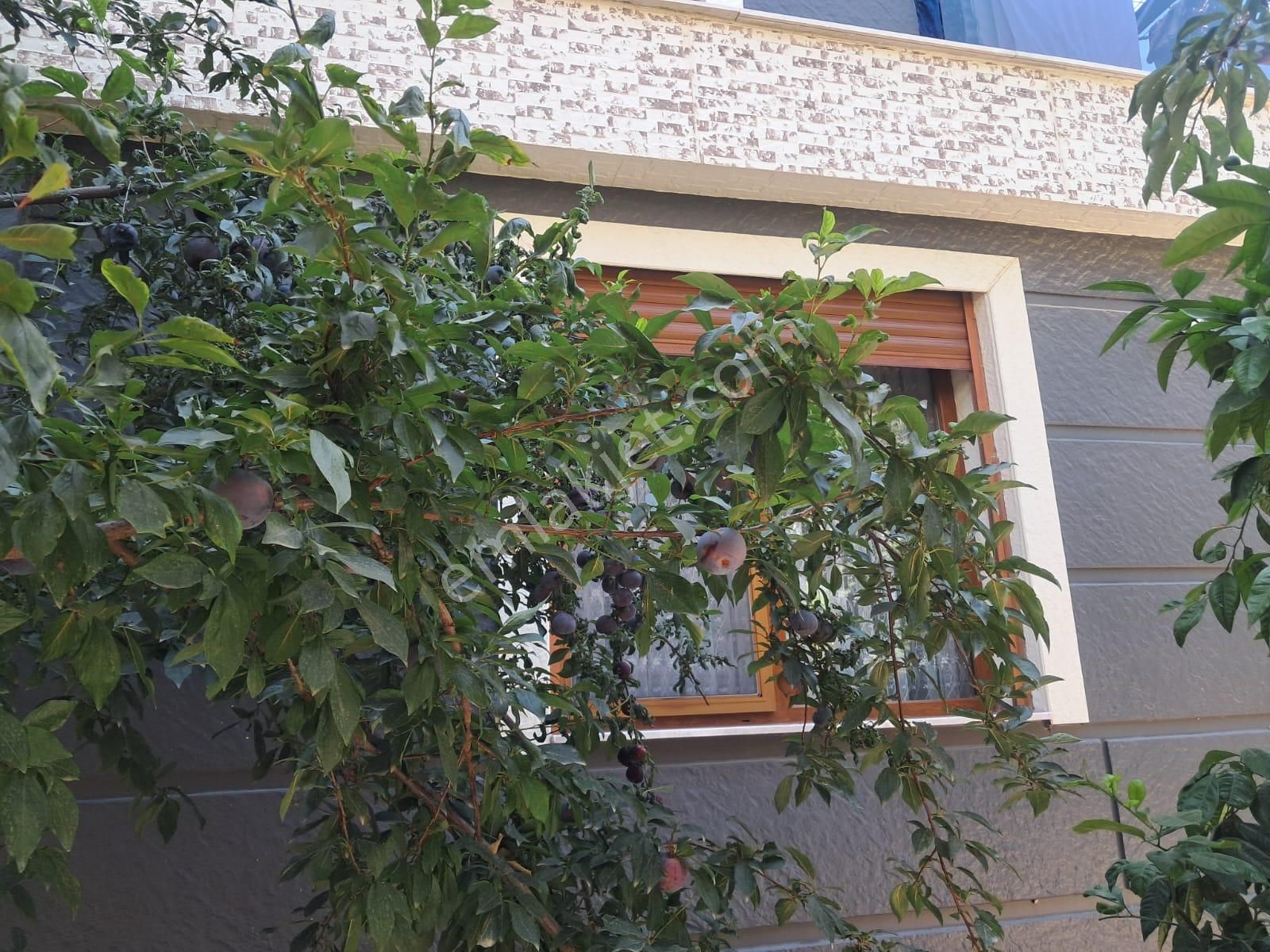 İzmir Seferihisar Payamlı’da 2+1 Bahçeli Satılık Dubleks Yazlık Villa - Görsel 25