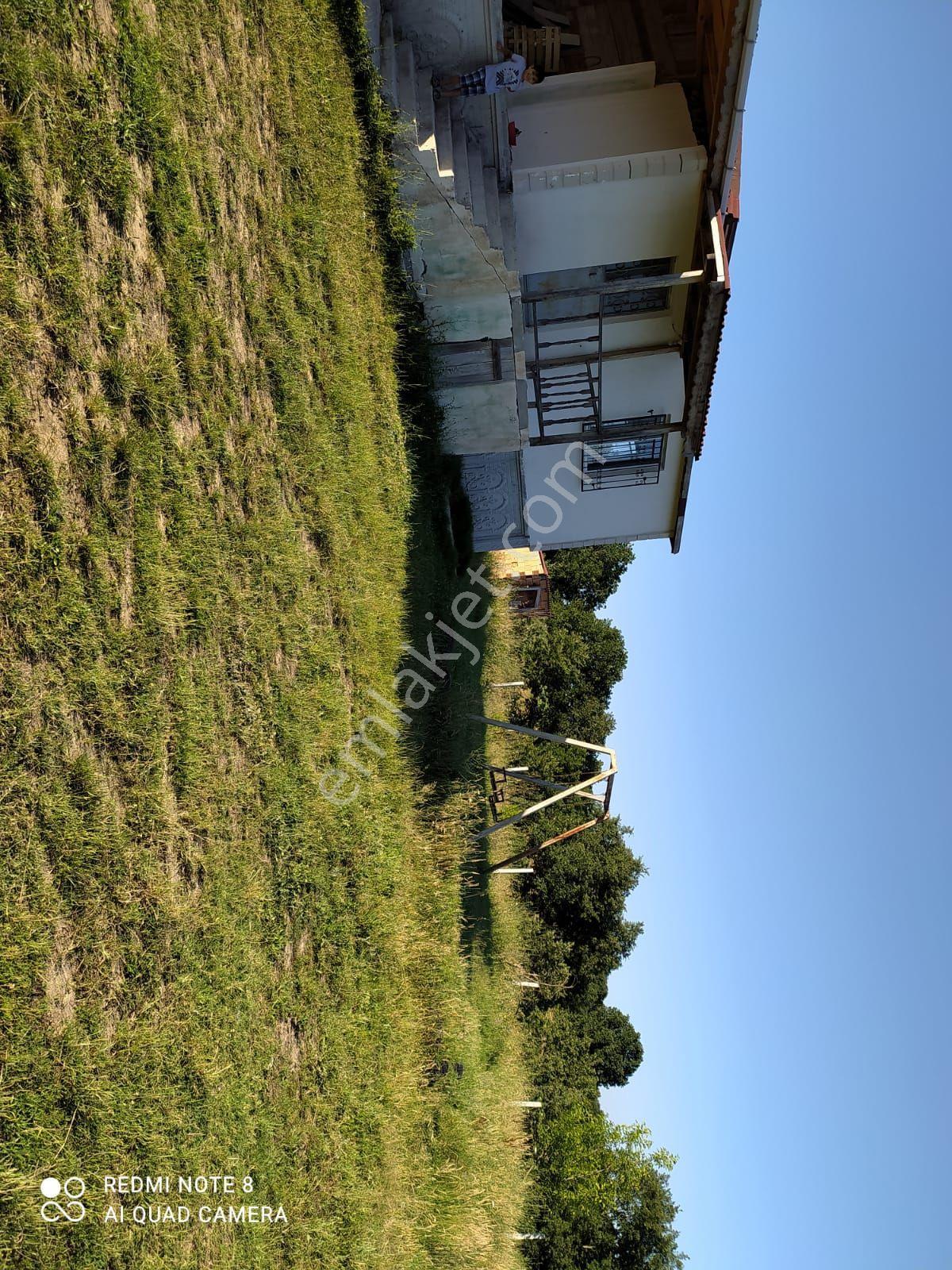 Sahibinden Kiralık 1+1 Ev Tarla - Görsel 6