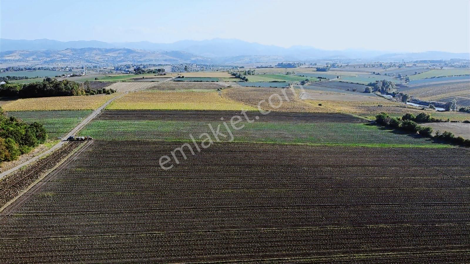 Kr Unıty'den Samsun Bafra'da Fırsat Arazi 275 Dönüm - Görsel 4